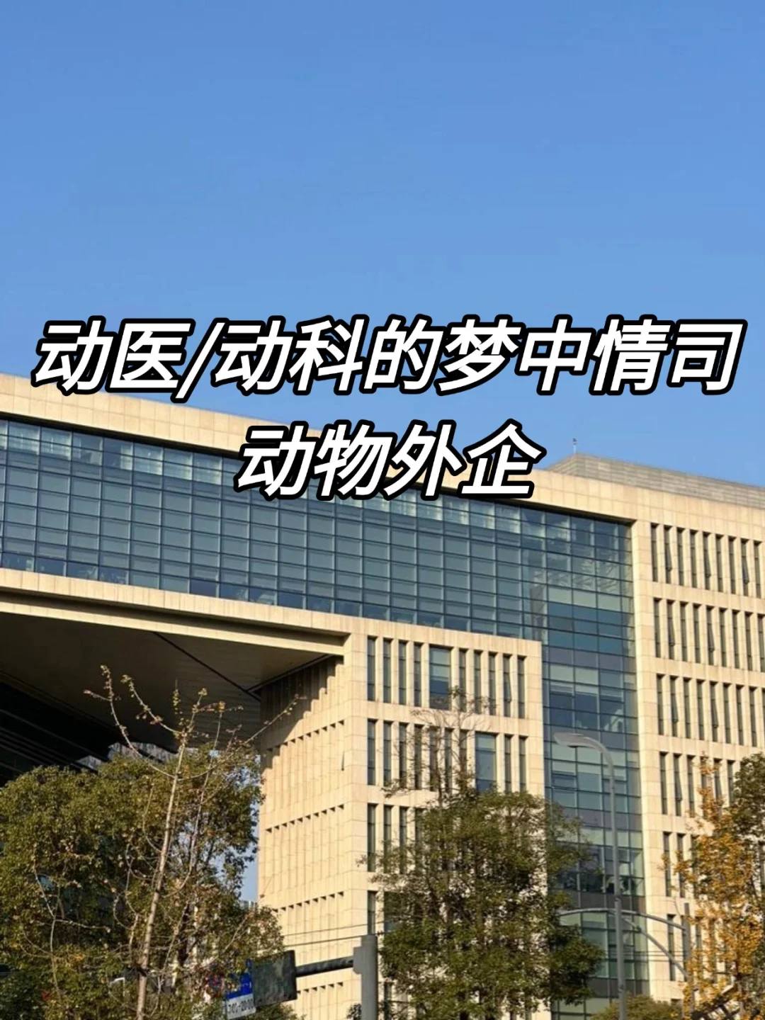 动医/动科的梦中情司—动物外企