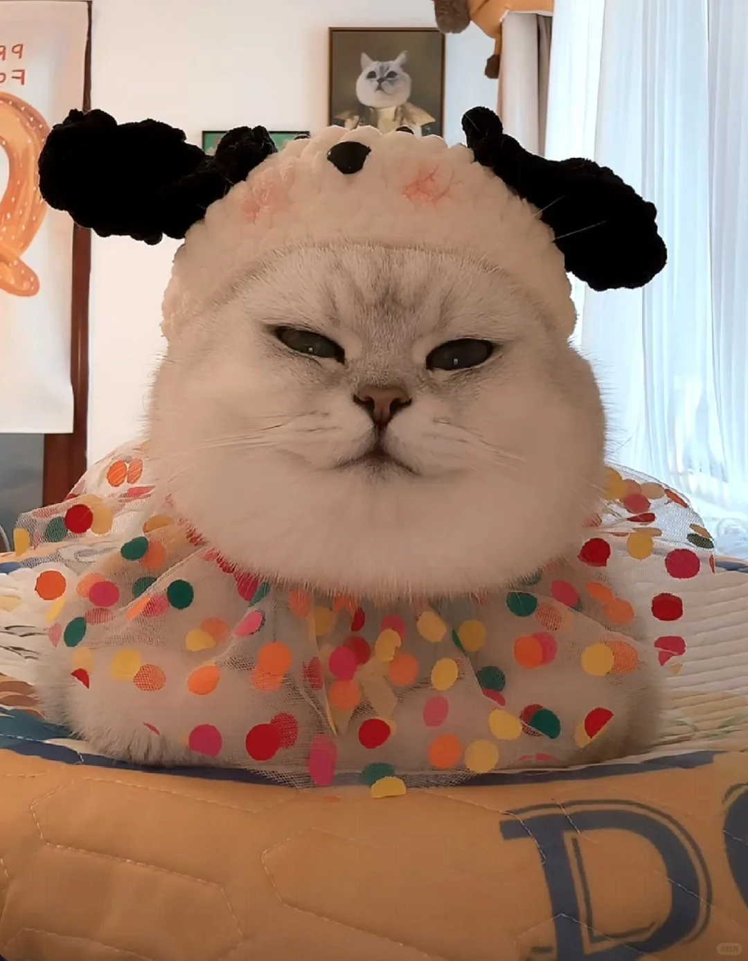 南开机关单位招聘档案保安