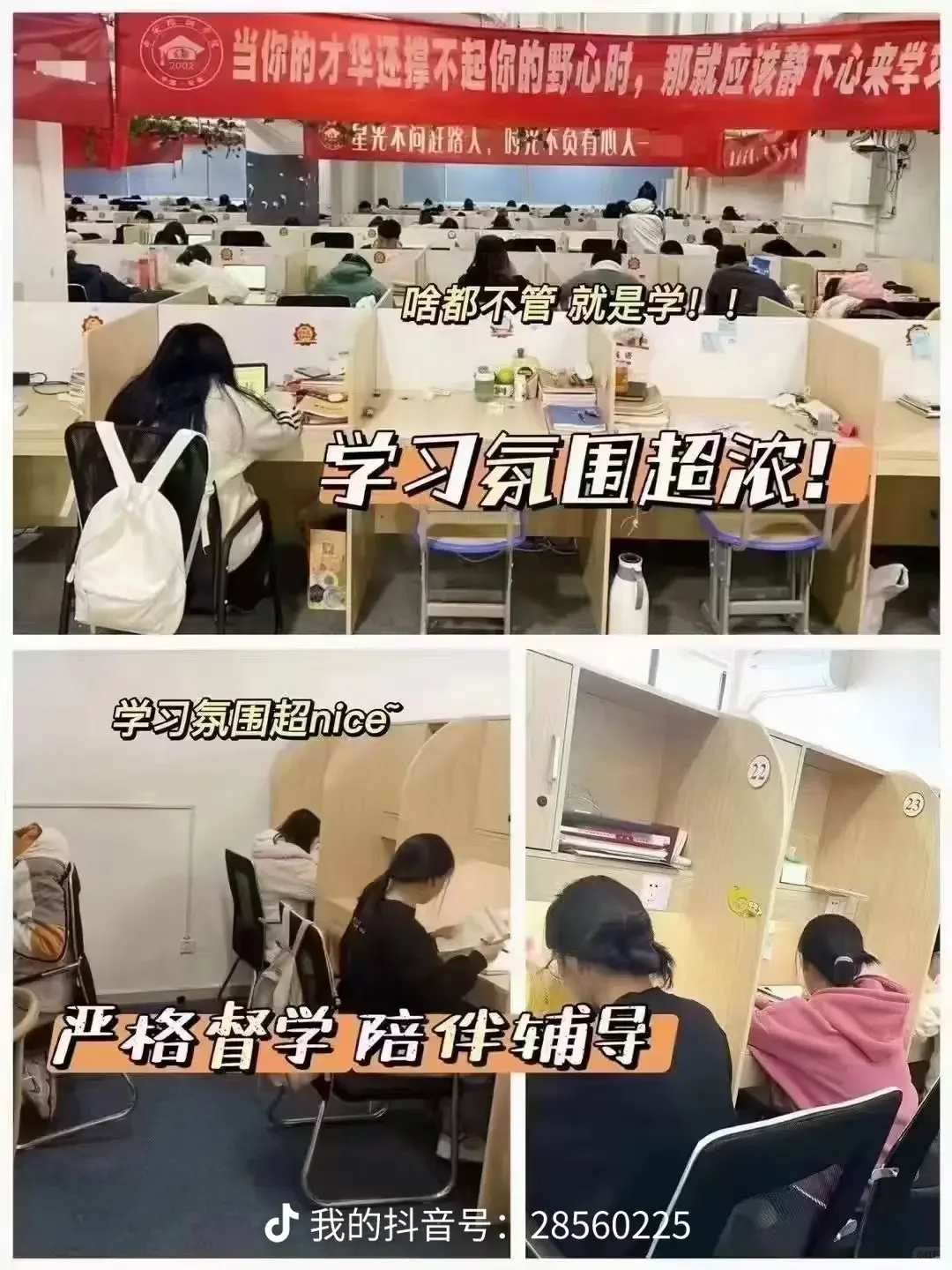 逐梦人才社区,中安专升本体验总结