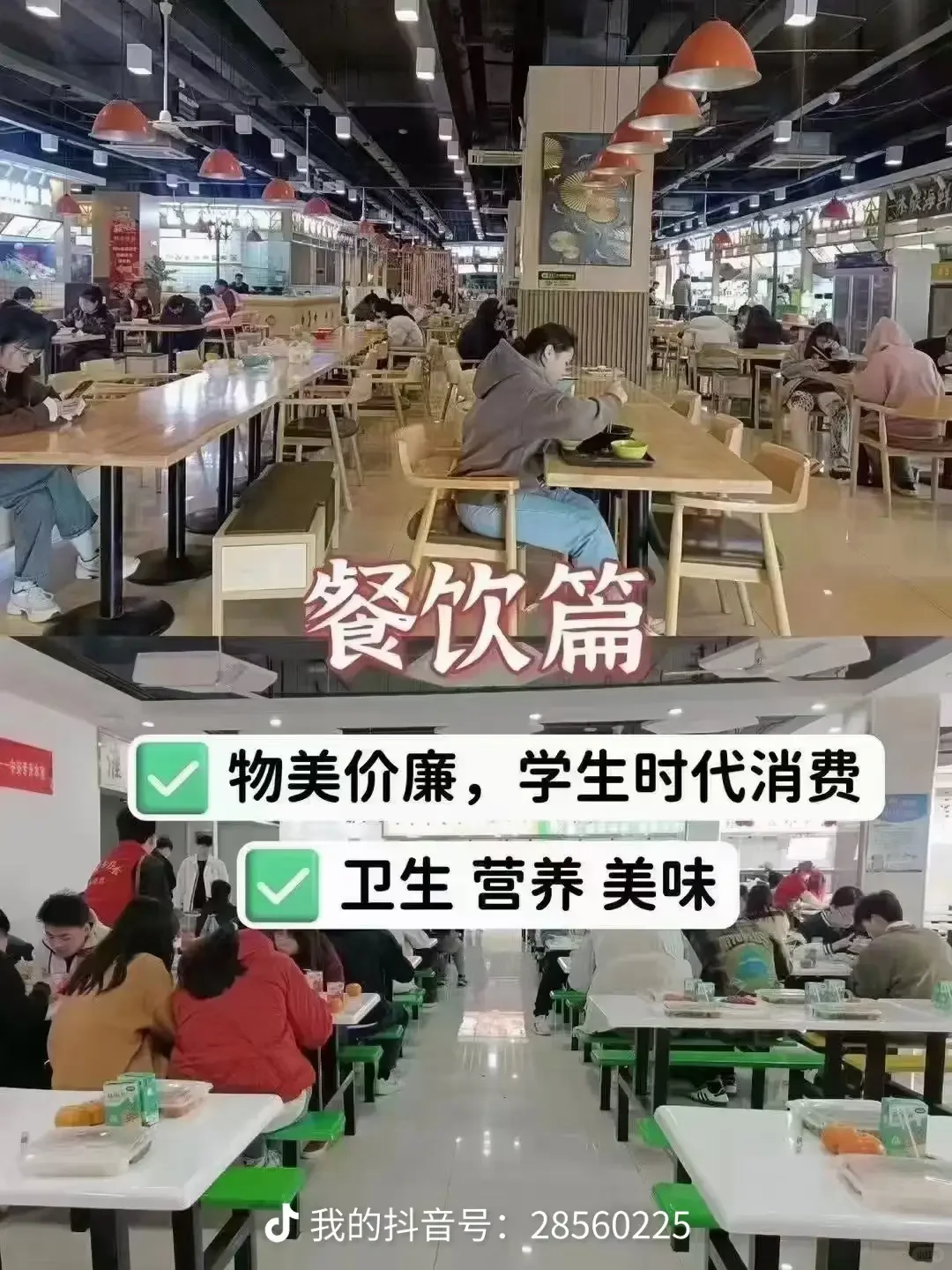逐梦人才社区,中安专升本体验总结