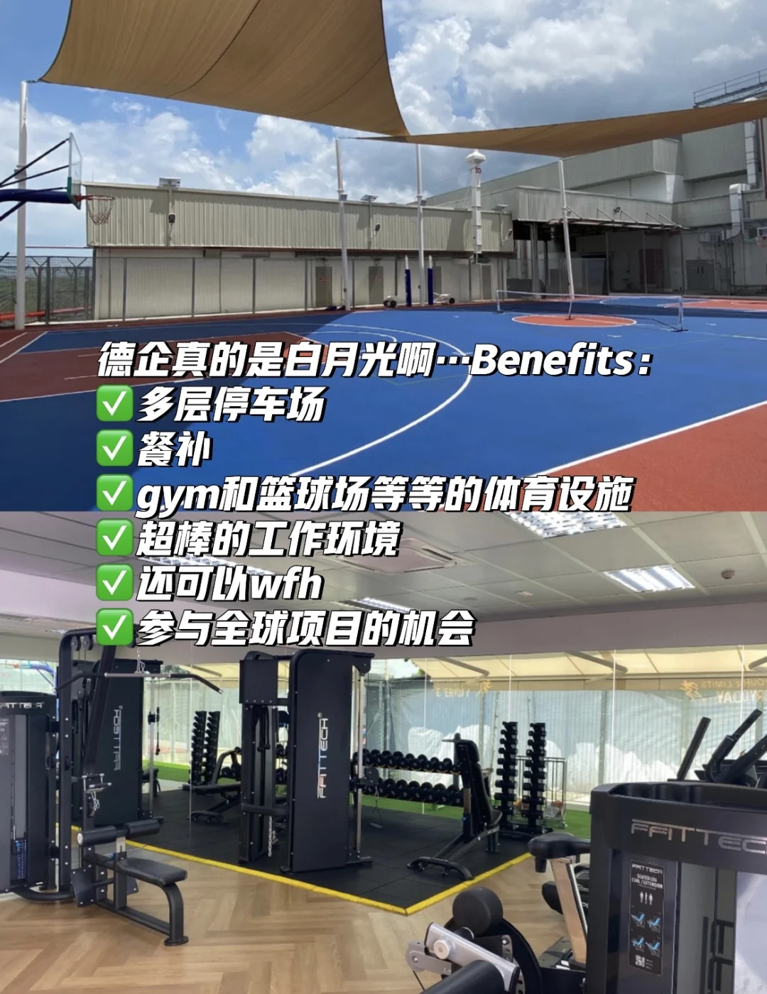 ??大厂测评|参与世界500强的招聘会