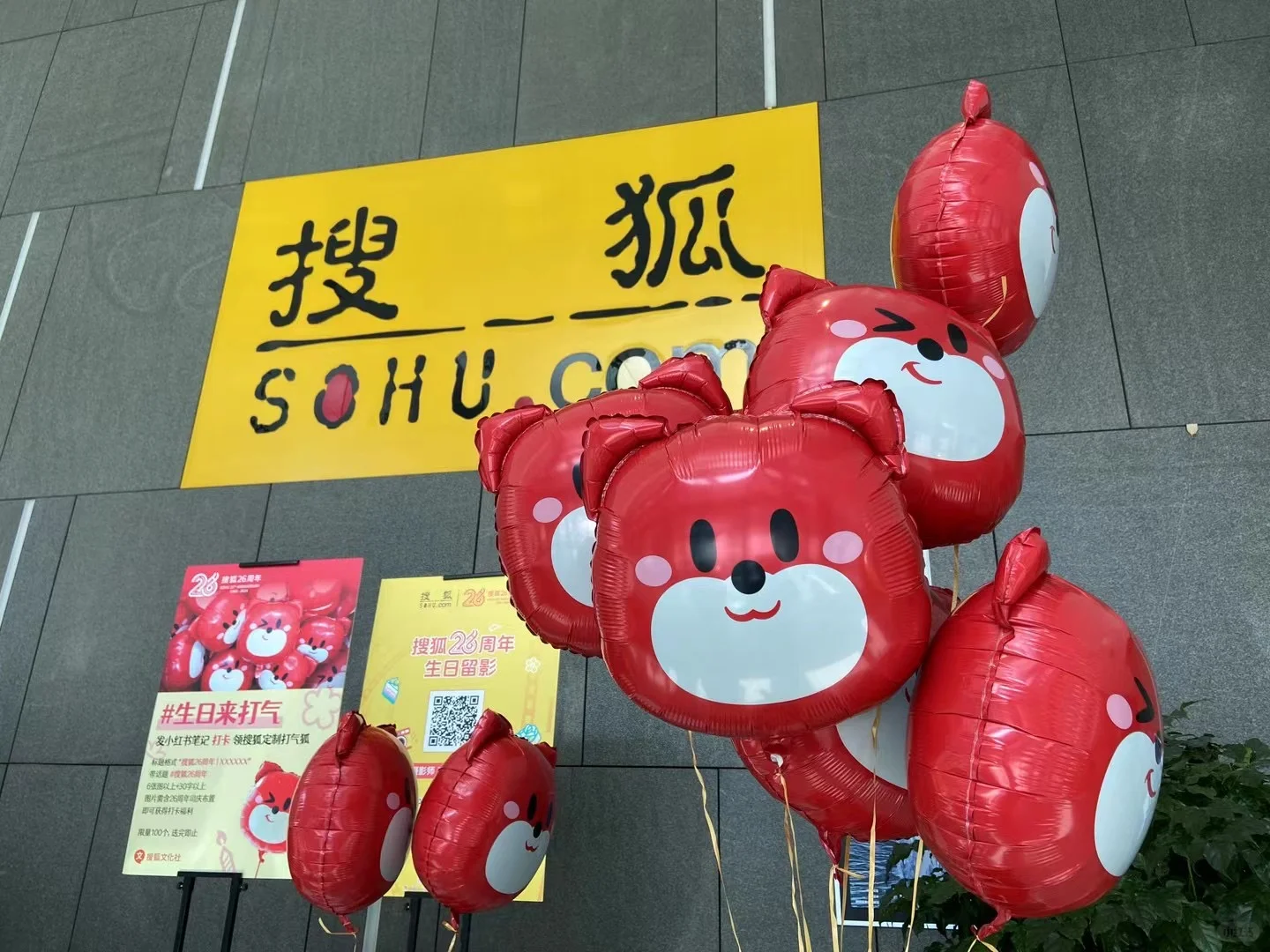 搜狐内推！找工作的看过来～