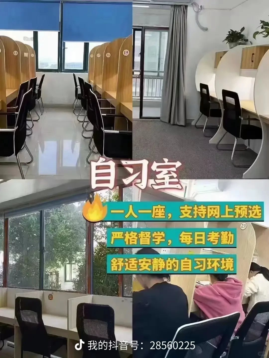 逐梦人才社区,中安专升本体验总结