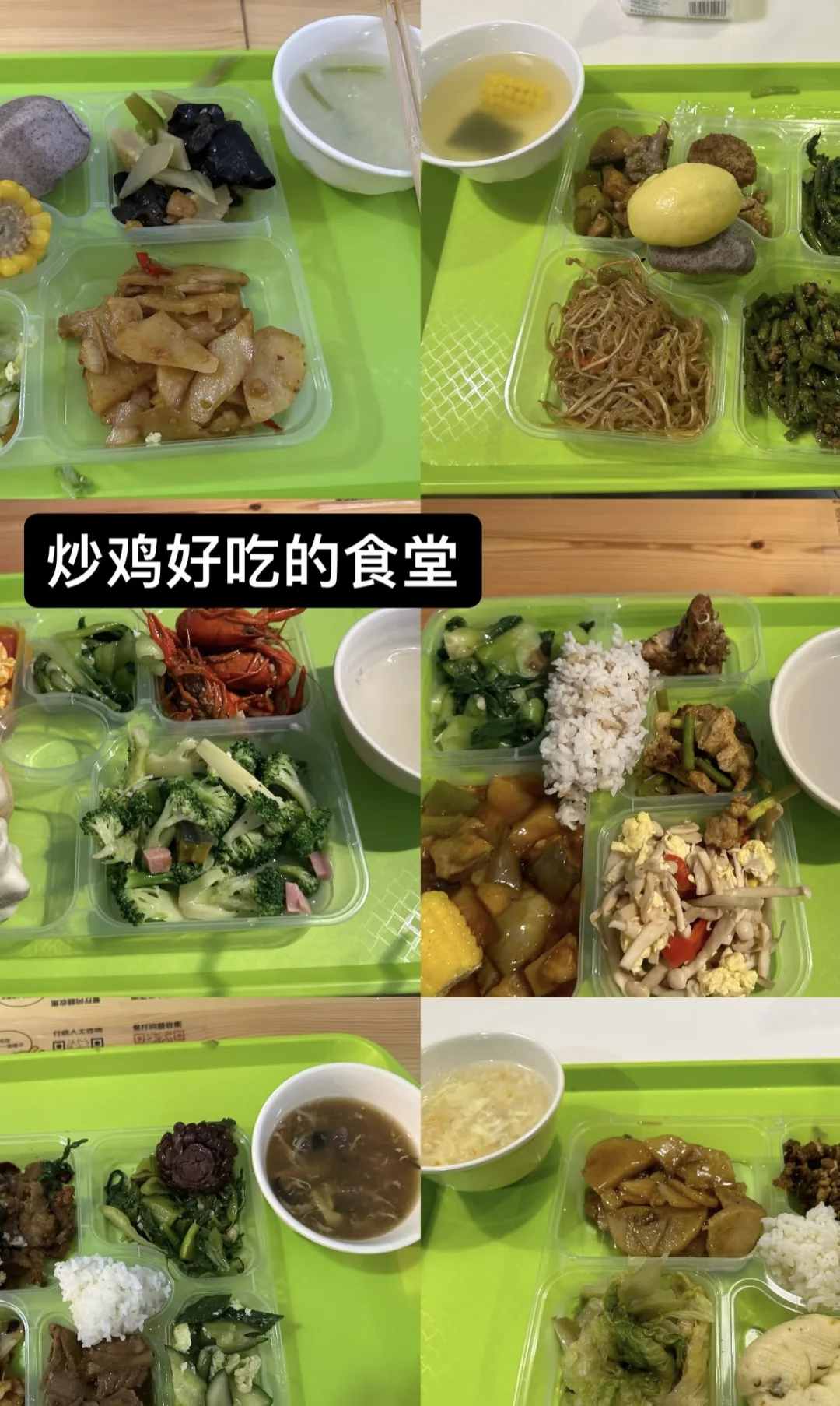 掌阅科技招人才咯！想找工作看这里！