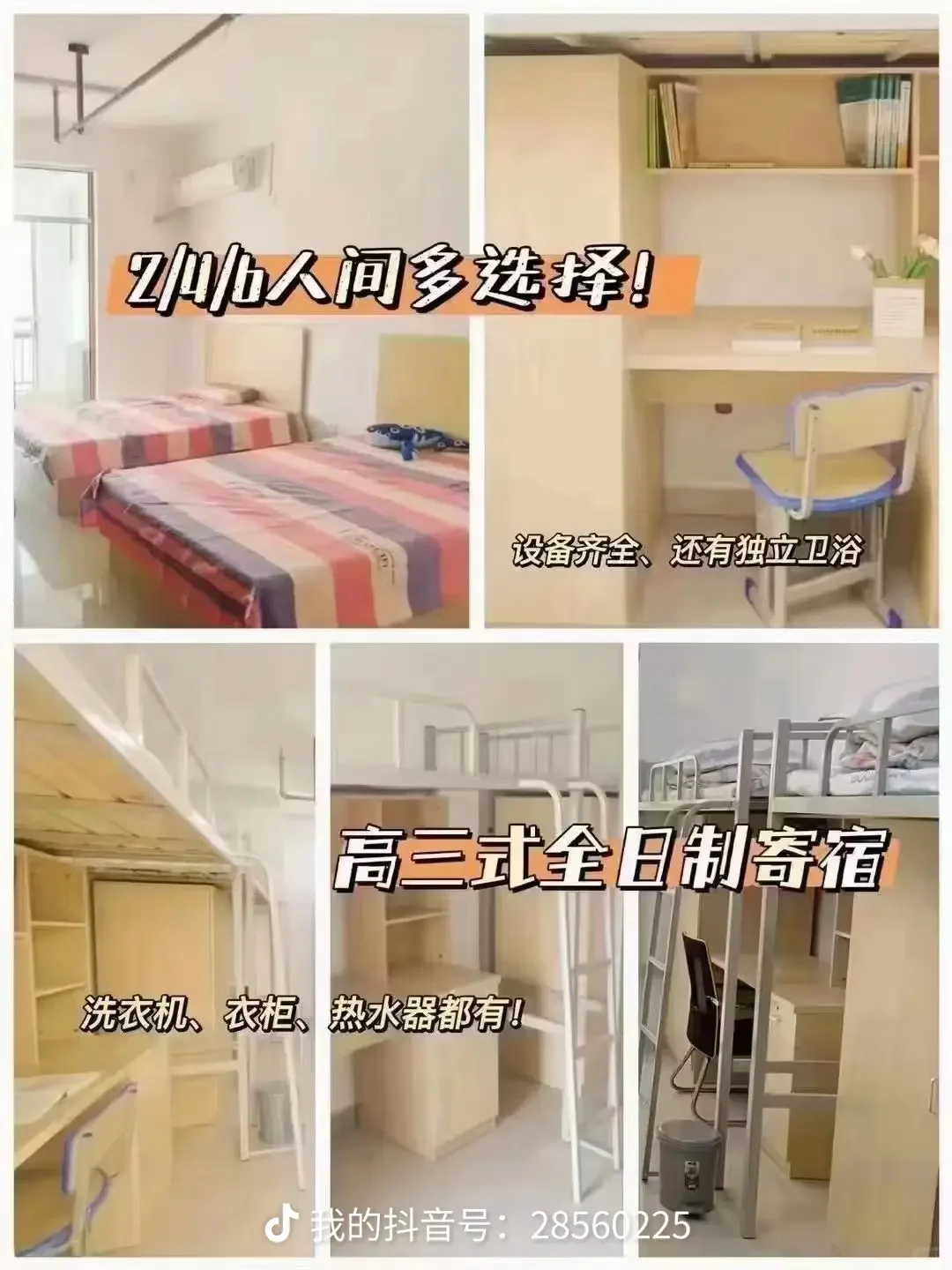 逐梦人才社区,中安专升本体验总结