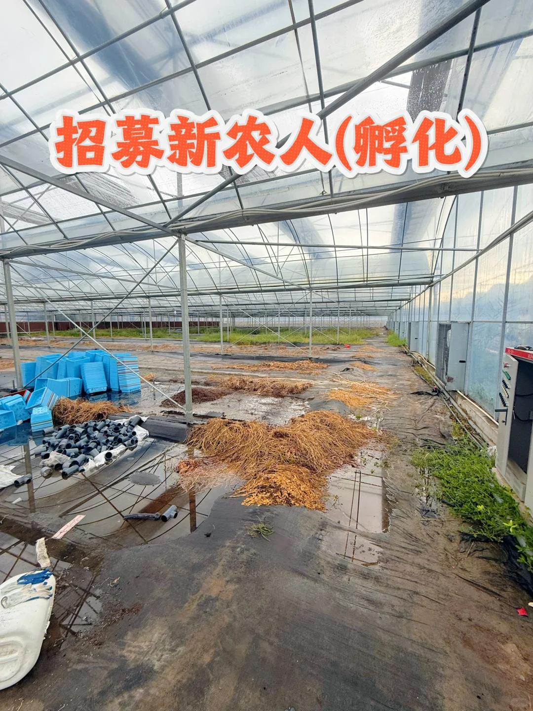 杭州村招|共同打造令人向往的村庄!