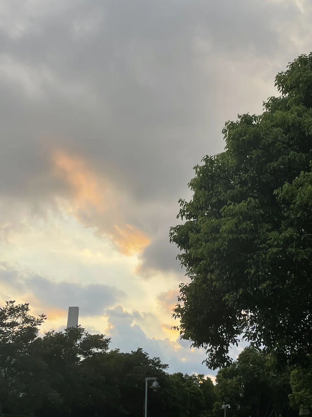 专利人找工作跳槽(四)面试流程及必问