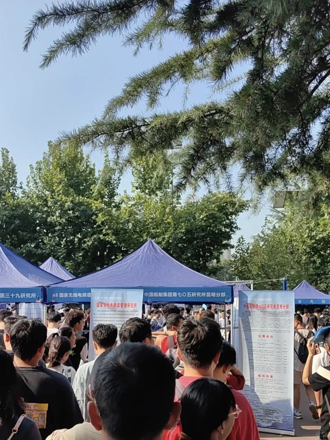 趁着这个暑假背着室友把国企给投了~