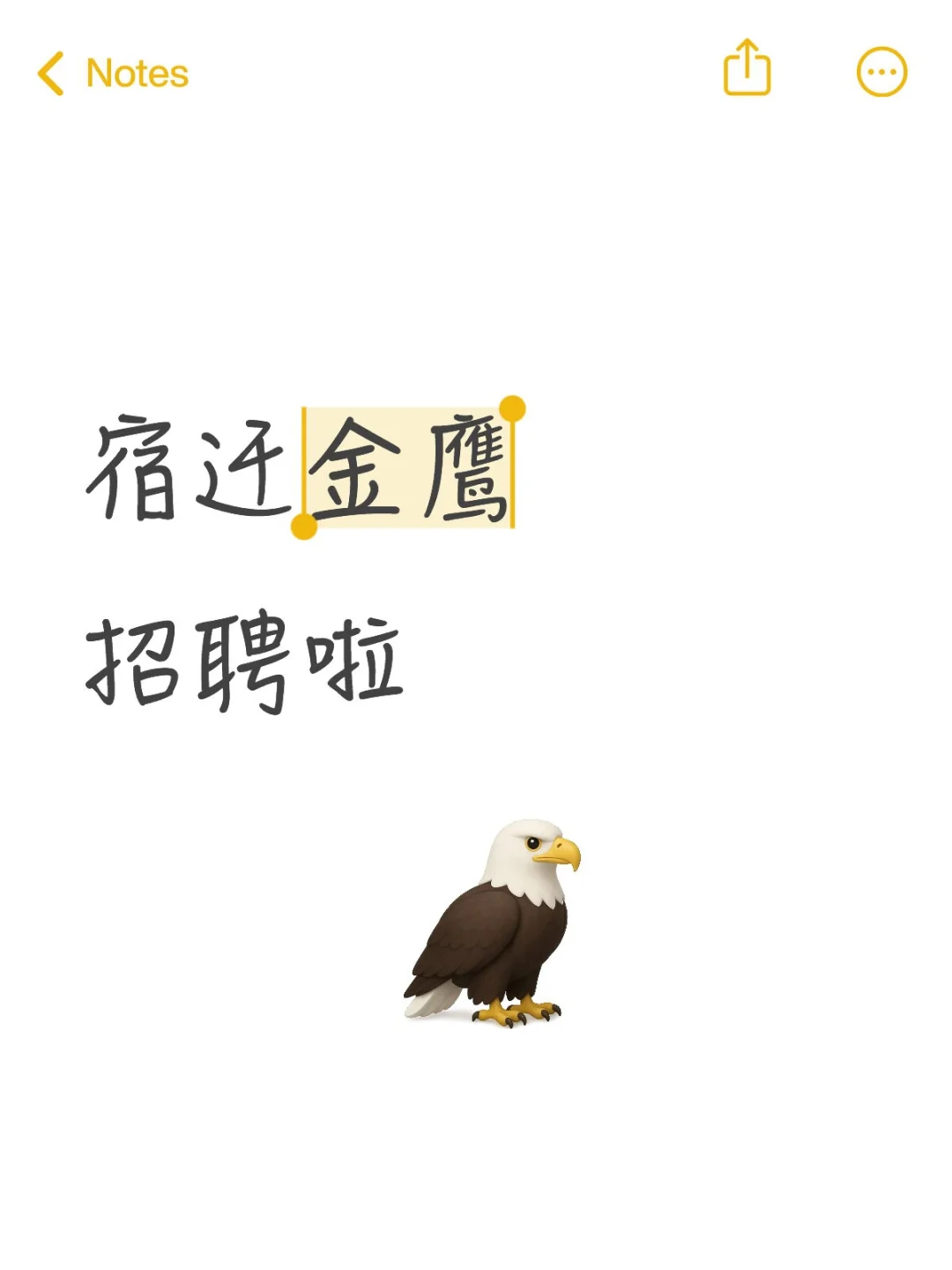 宿迁金鹰招聘啦