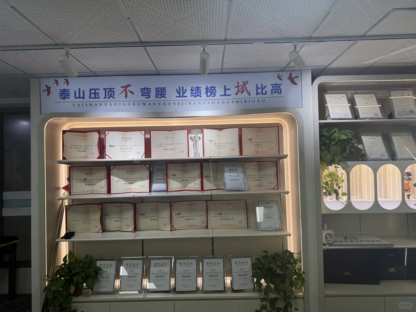 石家庄双休工作招聘 无责底薪4000