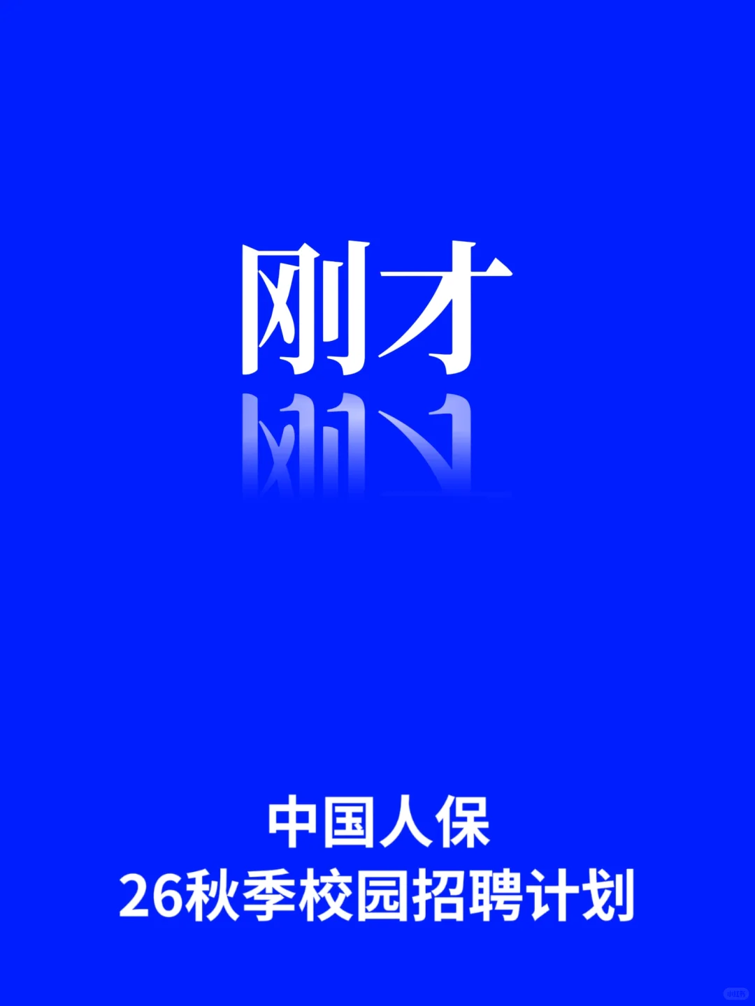 中国人保26秋招招聘要求