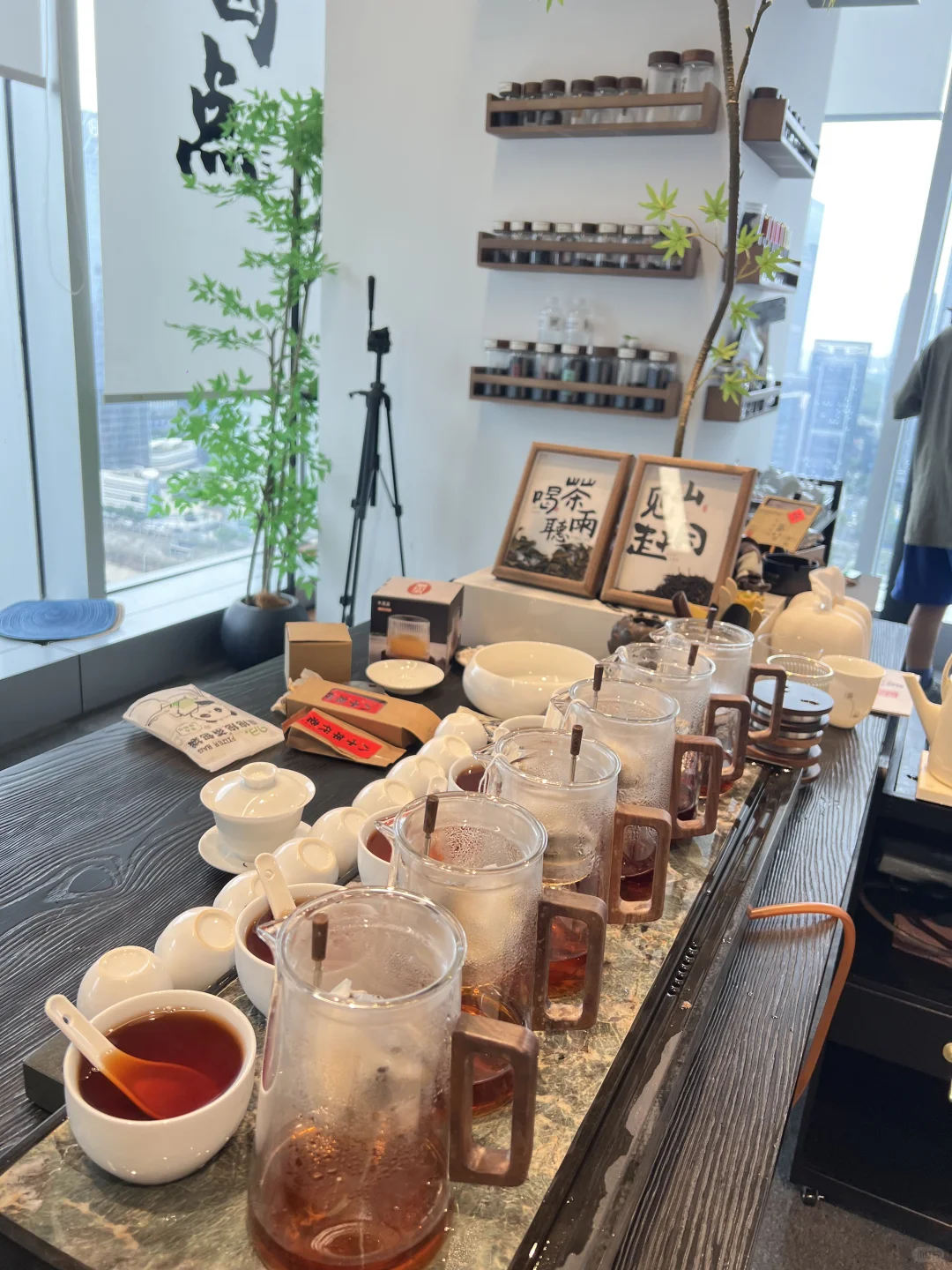 高薪诚聘国企茶叶带货主播｜拒绝祖宗大小姐！
