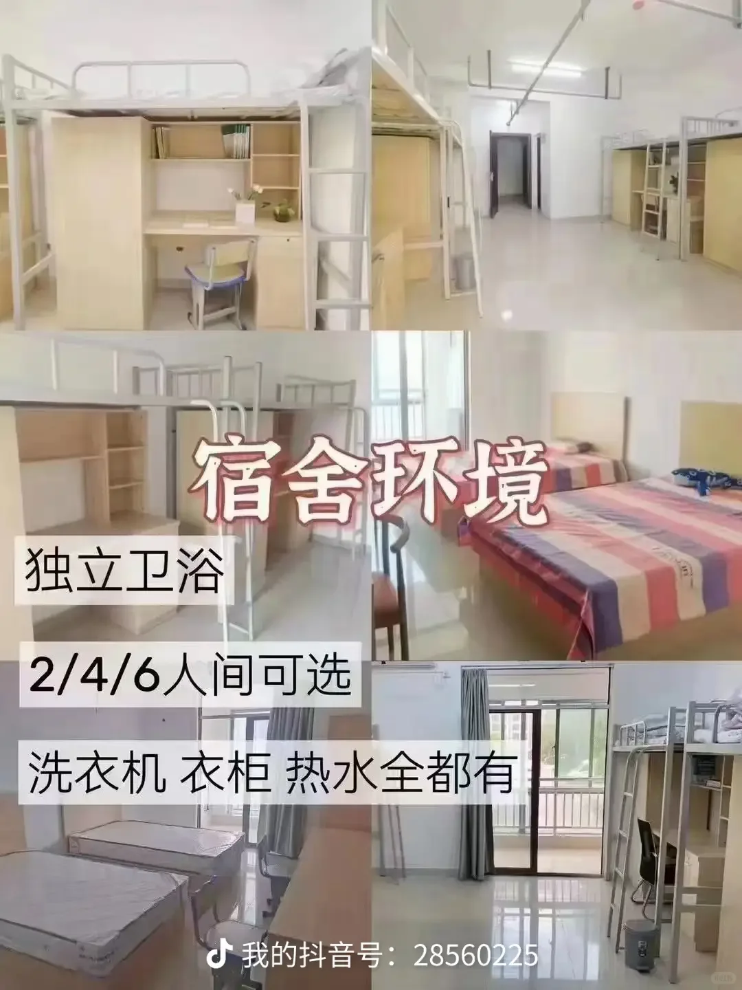 逐梦人才社区,中安专升本体验总结