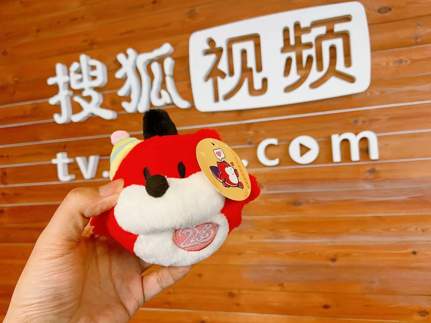 搜狐内推！找工作的看过来～