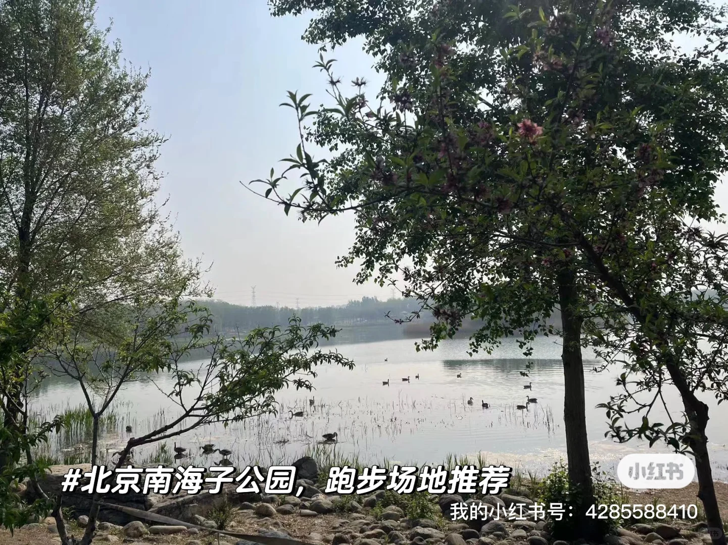 有钱途旅游类国央企—中旅集团(总部招人)