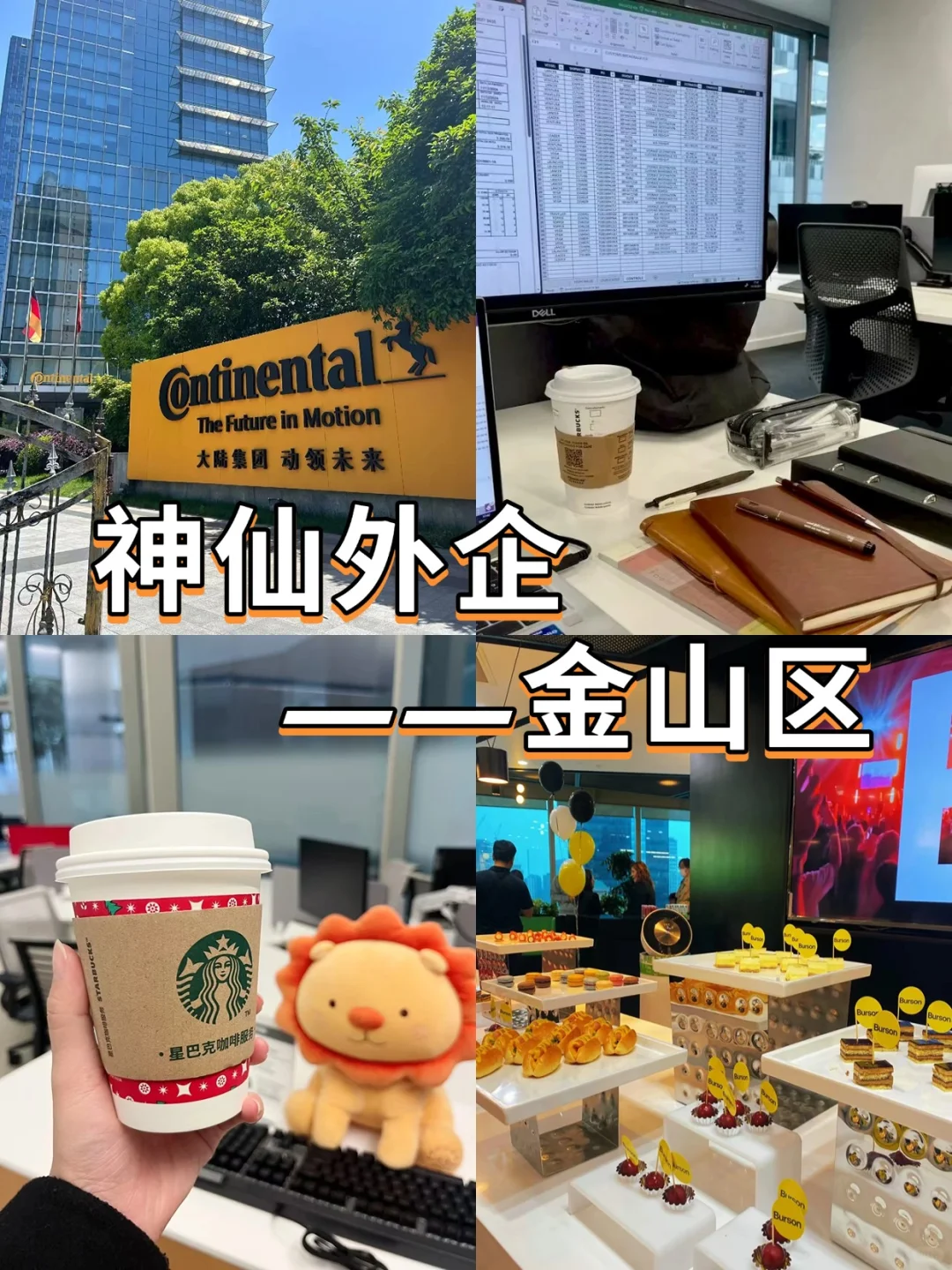 神仙外企——金山区