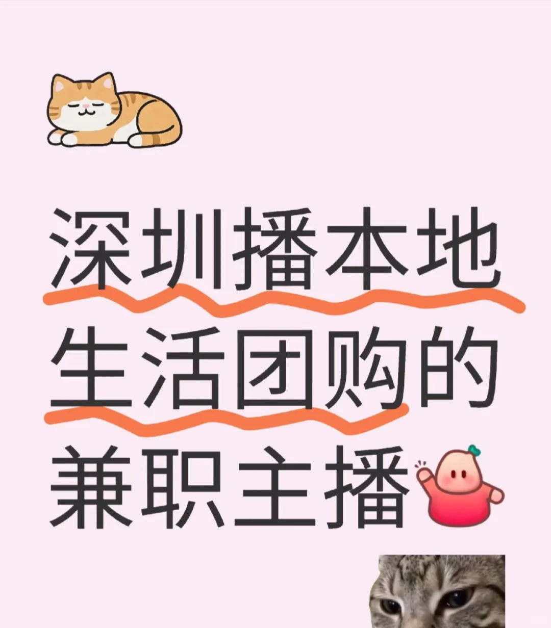 可长期合作招聘本地生活主播