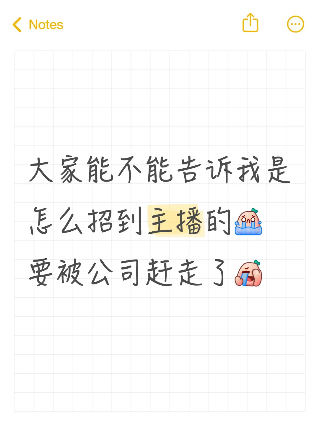 来个主播球球了
