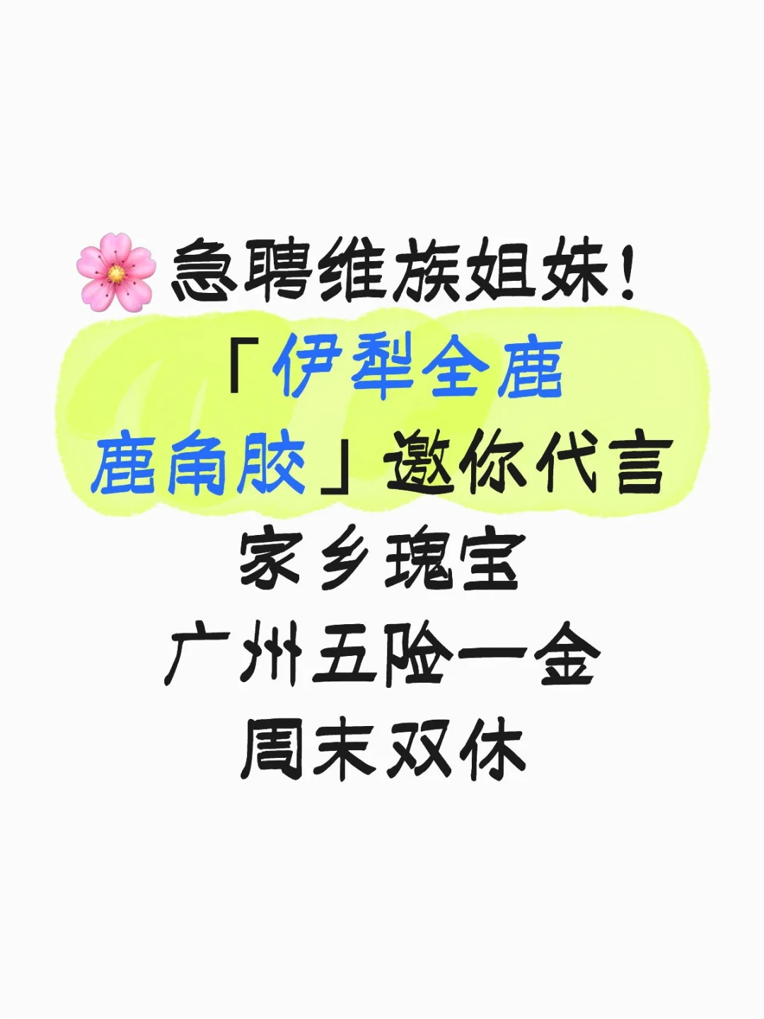 「伊犁全鹿」招募行走的代言人!