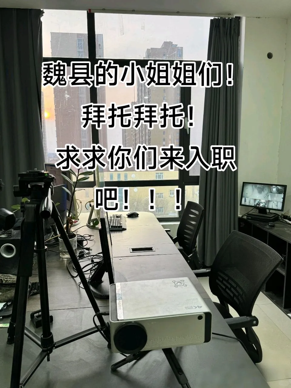 00后男大在魏县这边开了一家公司