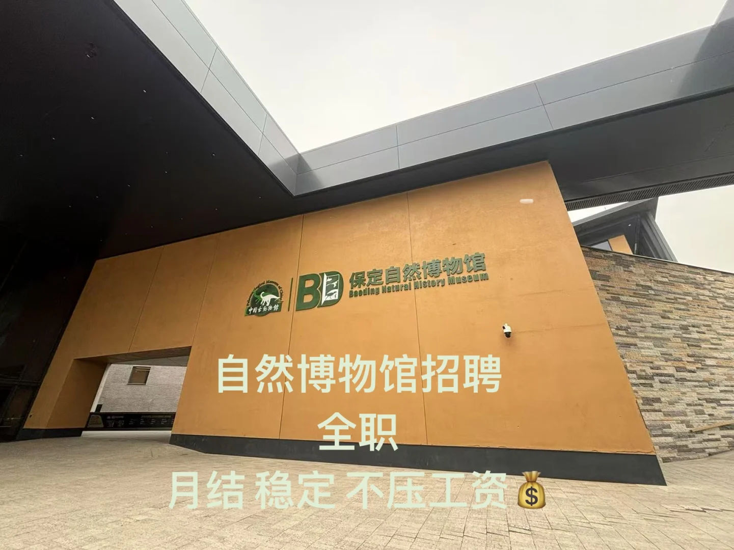 招聘啦工作地点➡️保定自然博物馆！