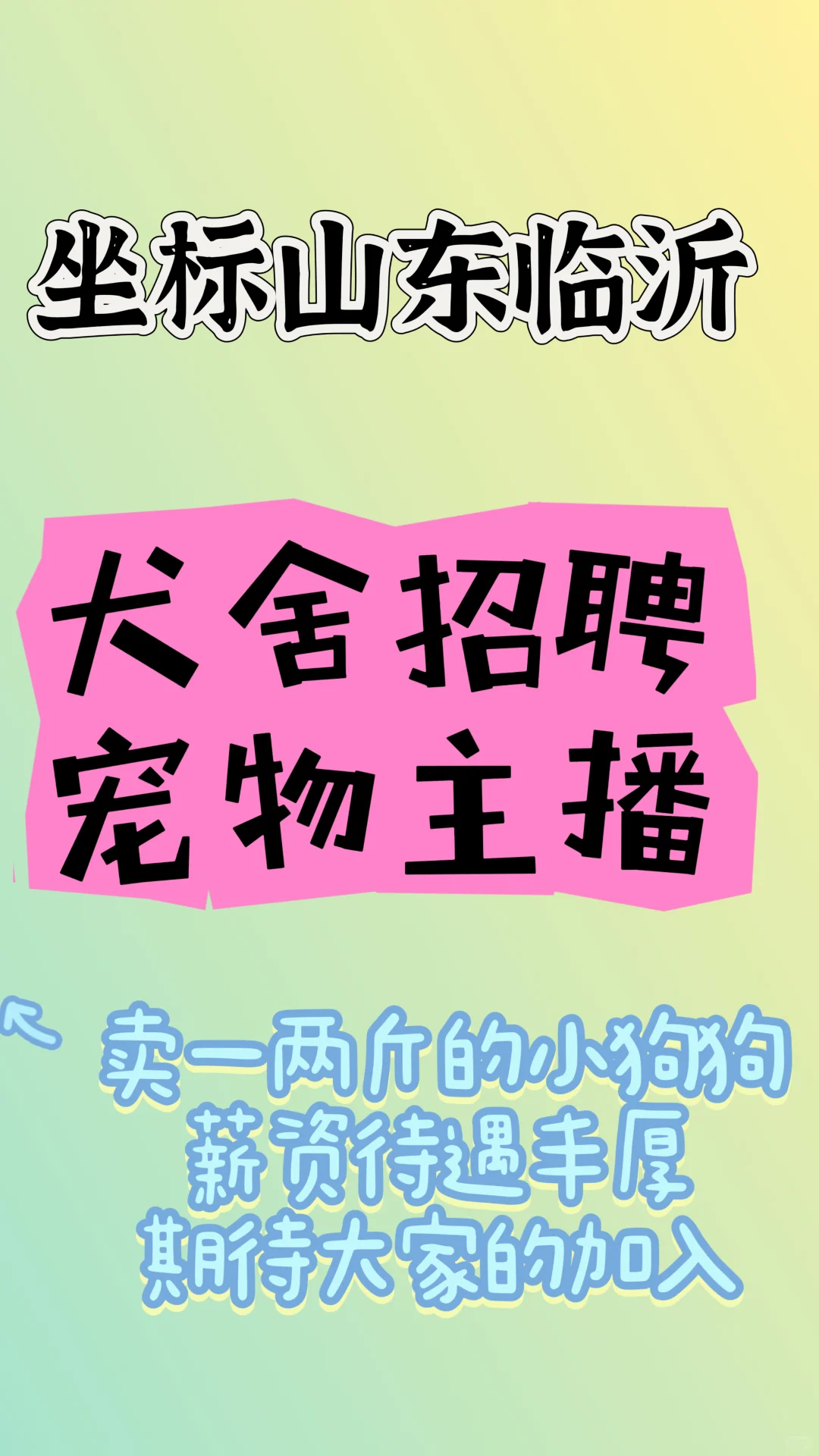 犬舍招聘宠物主播啦