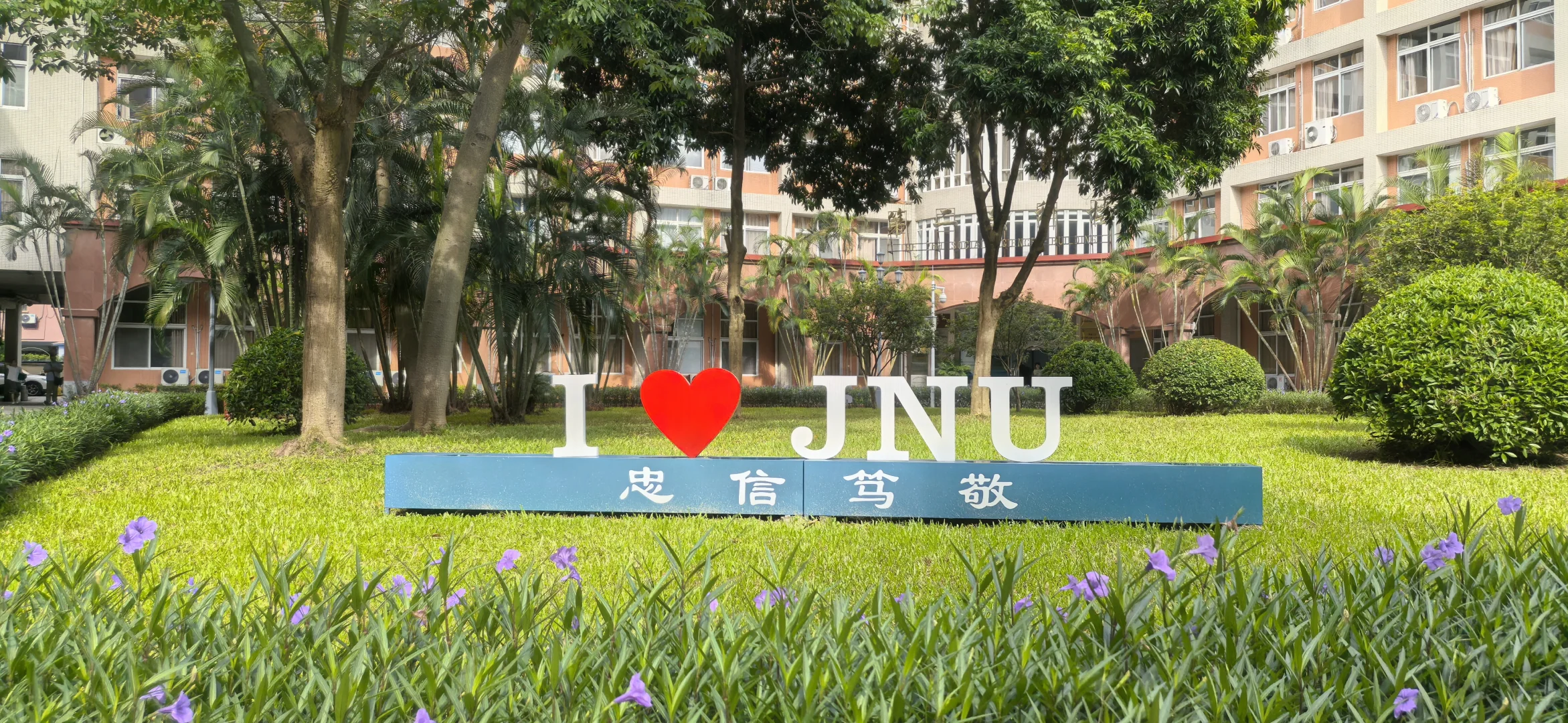 暨南大学新传预推免面经分享?