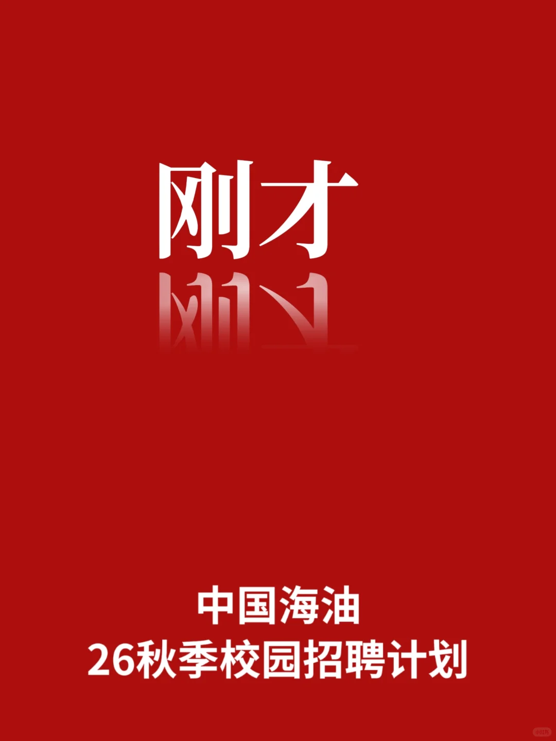 中海油26秋招招聘要求