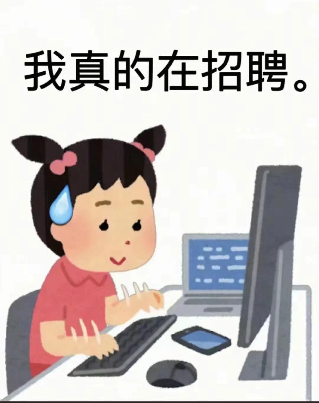 两眼一睁开始招聘
