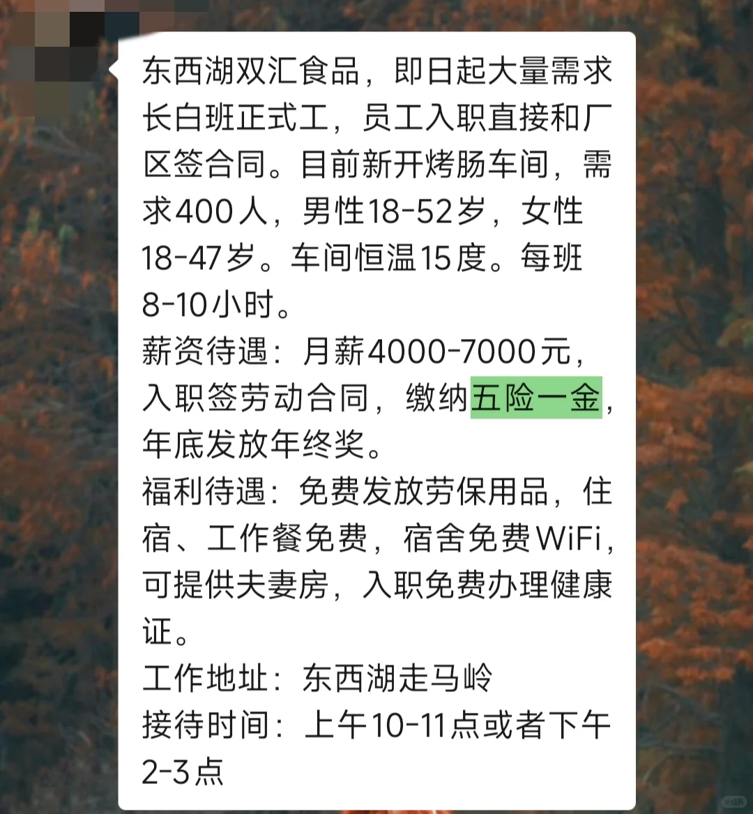 终于有五险一金的工作了?