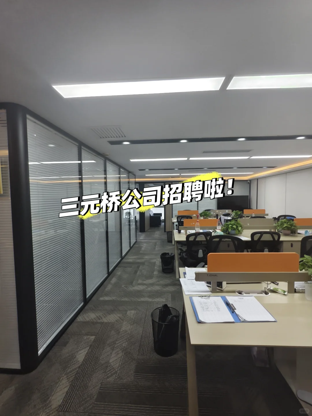 别盲目找工作了，来看看我这里