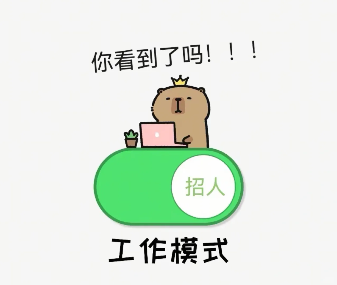 两眼一睁开始招聘