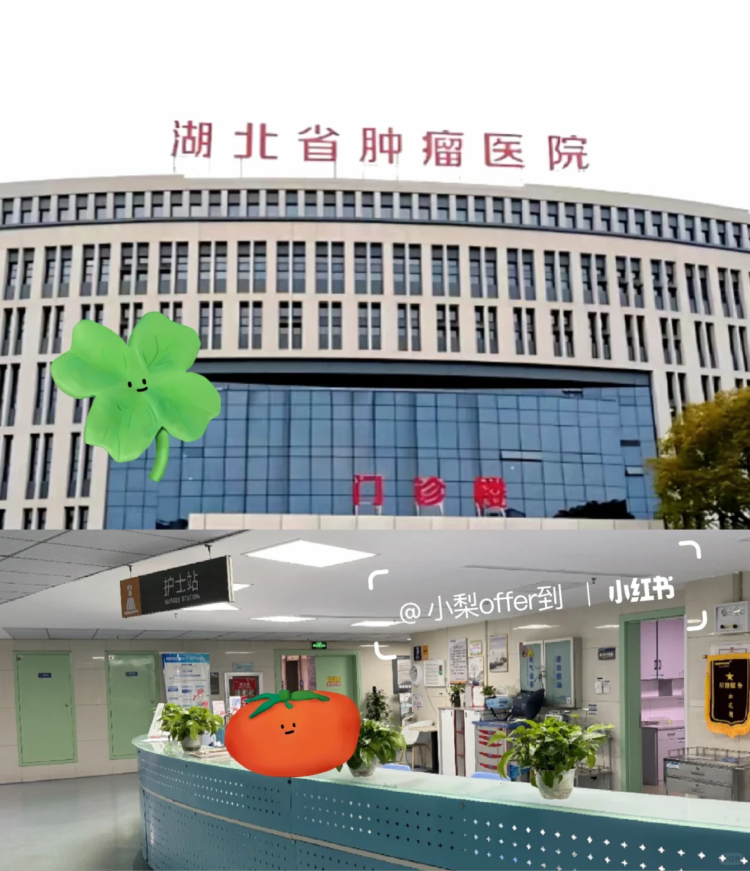 湖北省肿瘤医院招聘护士,有人想来吗?