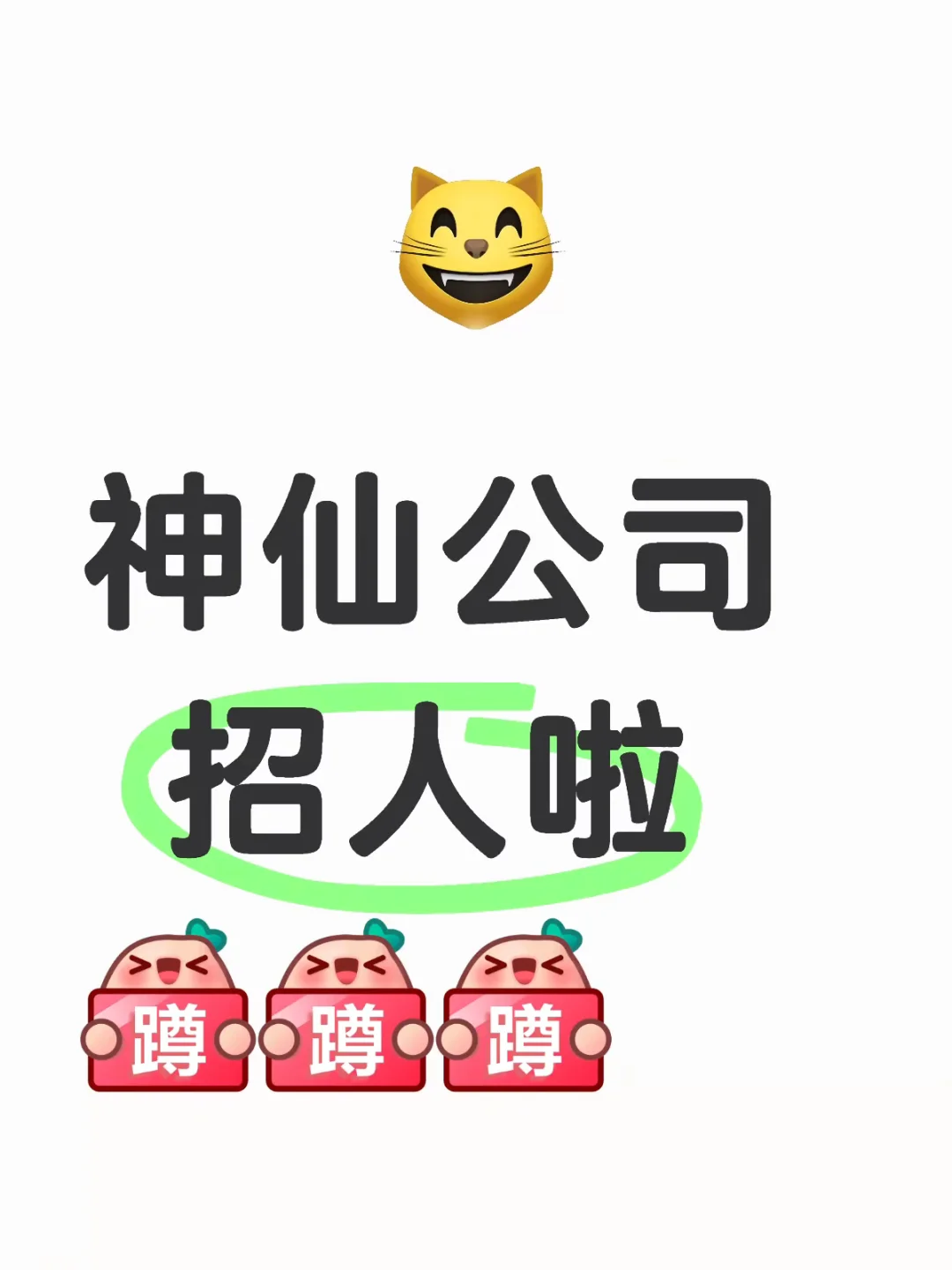 招聘运营啦！找工作的宝子们看过来～