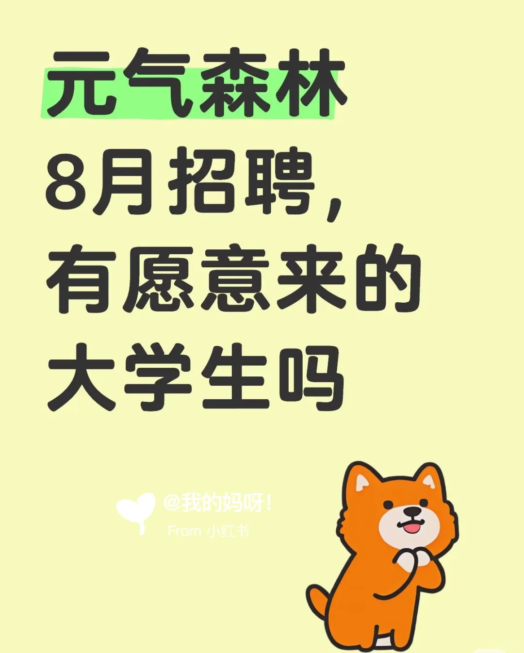 元气森林及各大厂8月招聘，有愿意来的同学吗
