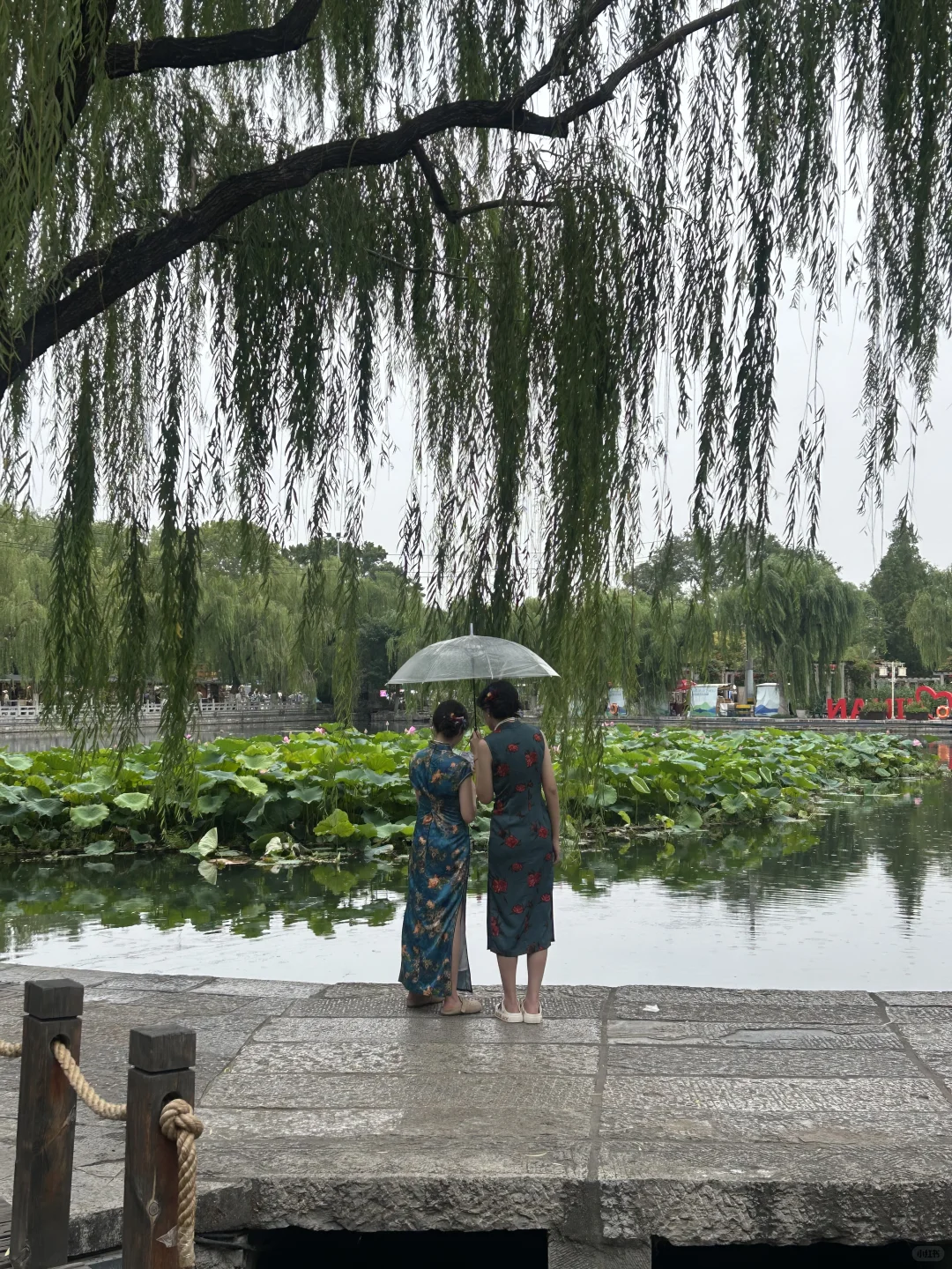 招聘济南公办大学辅导员
