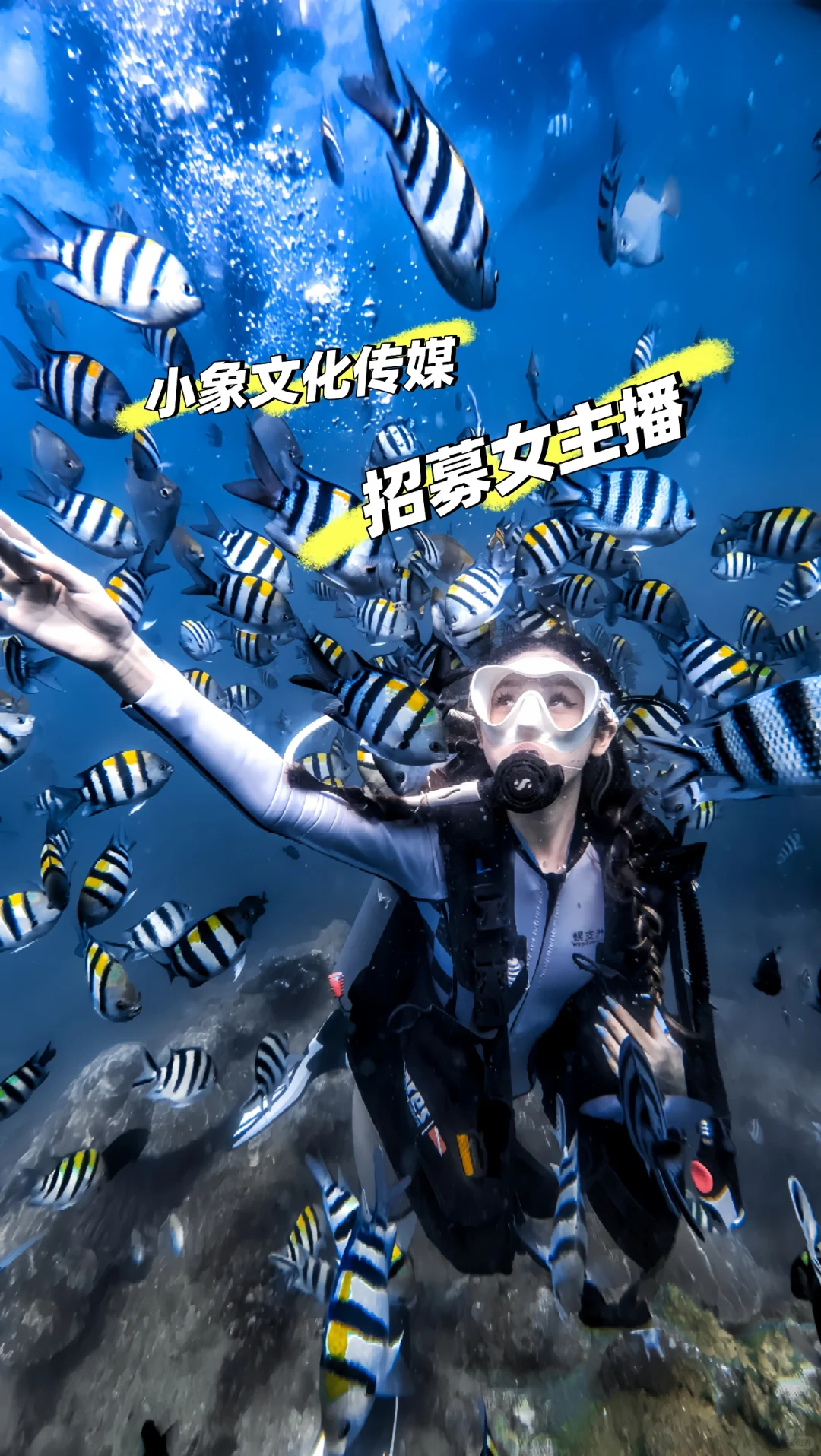 签约主播保底 6000？这家直播公司福利太好