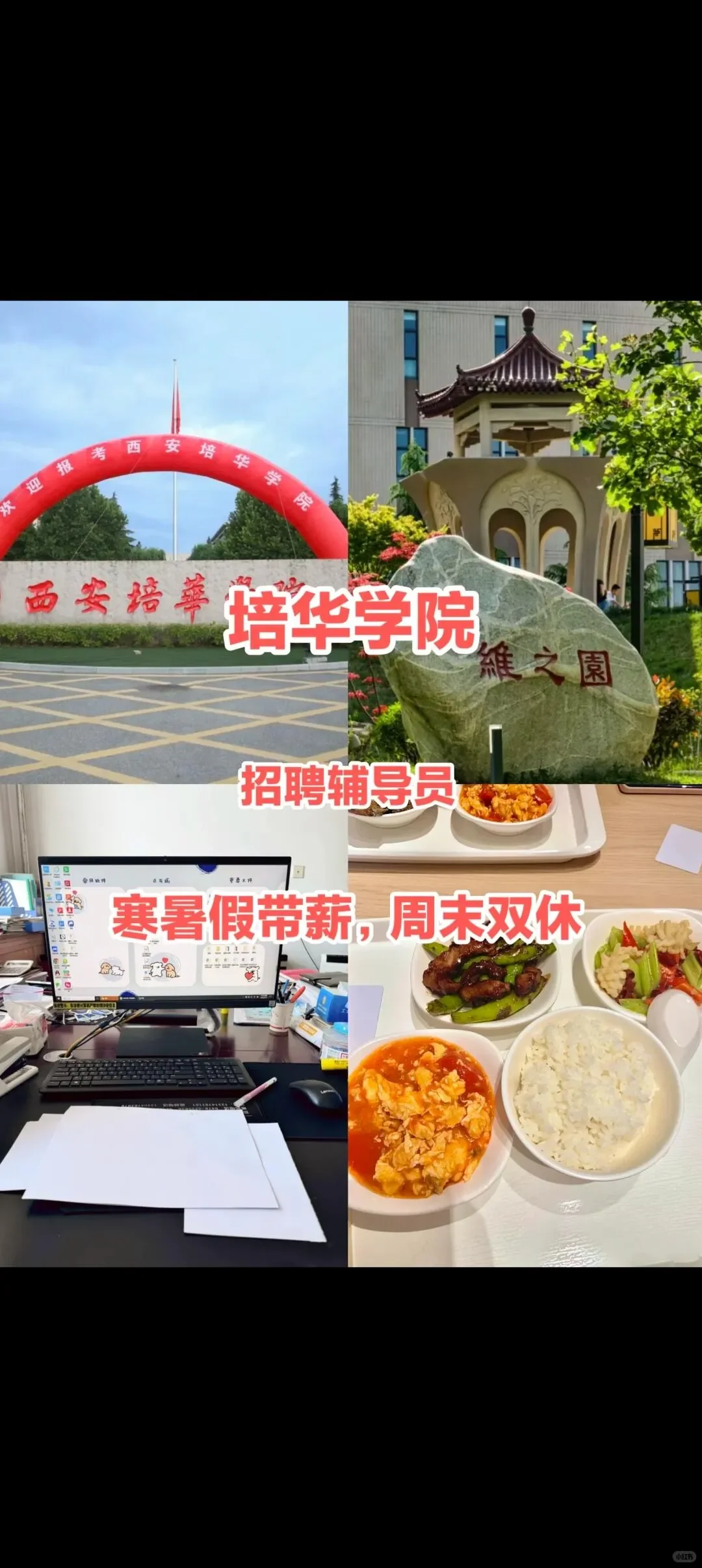 招聘！西安培华学院期待您的加入！