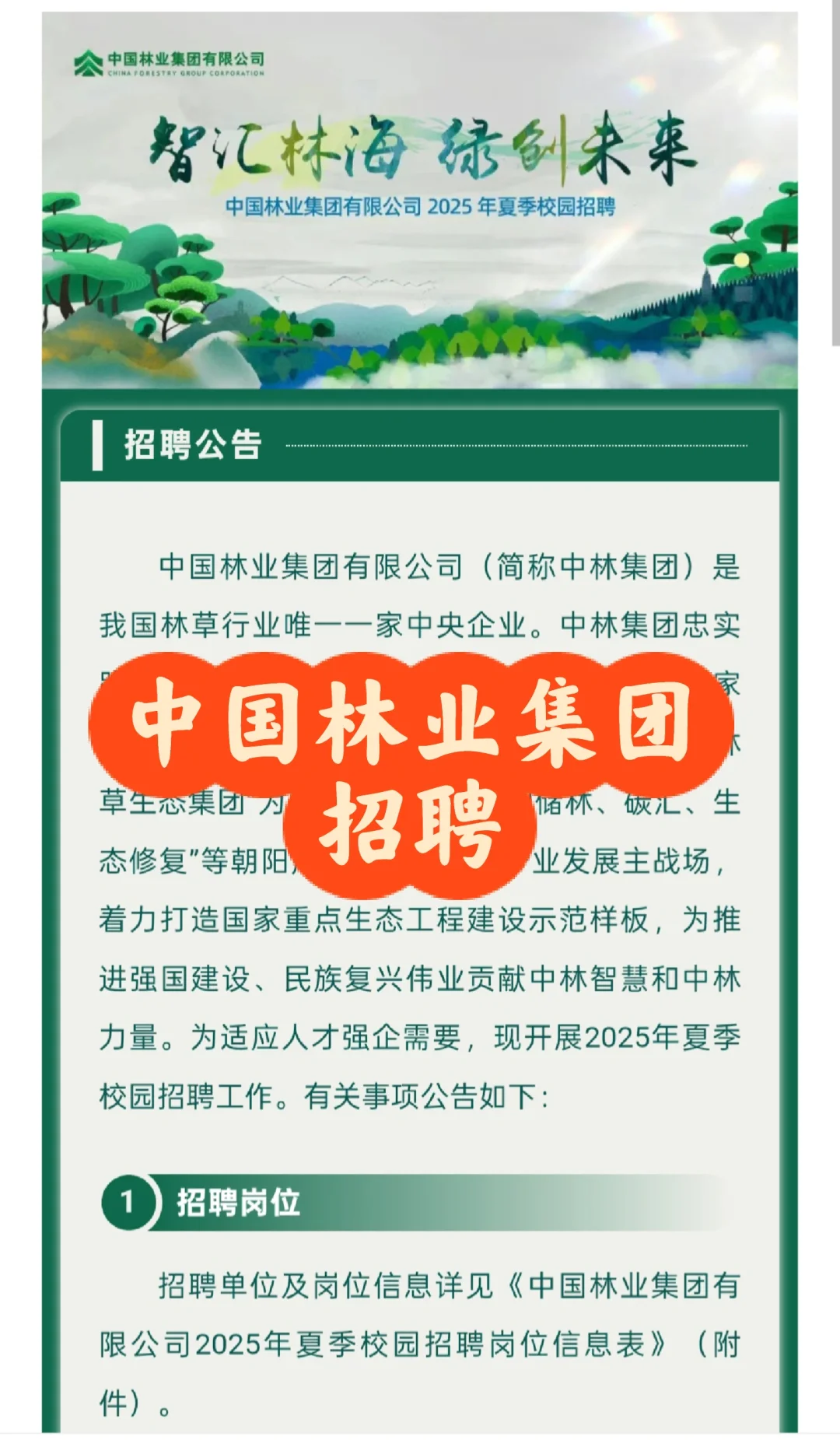 招聘｜中国林业集团2025年招聘