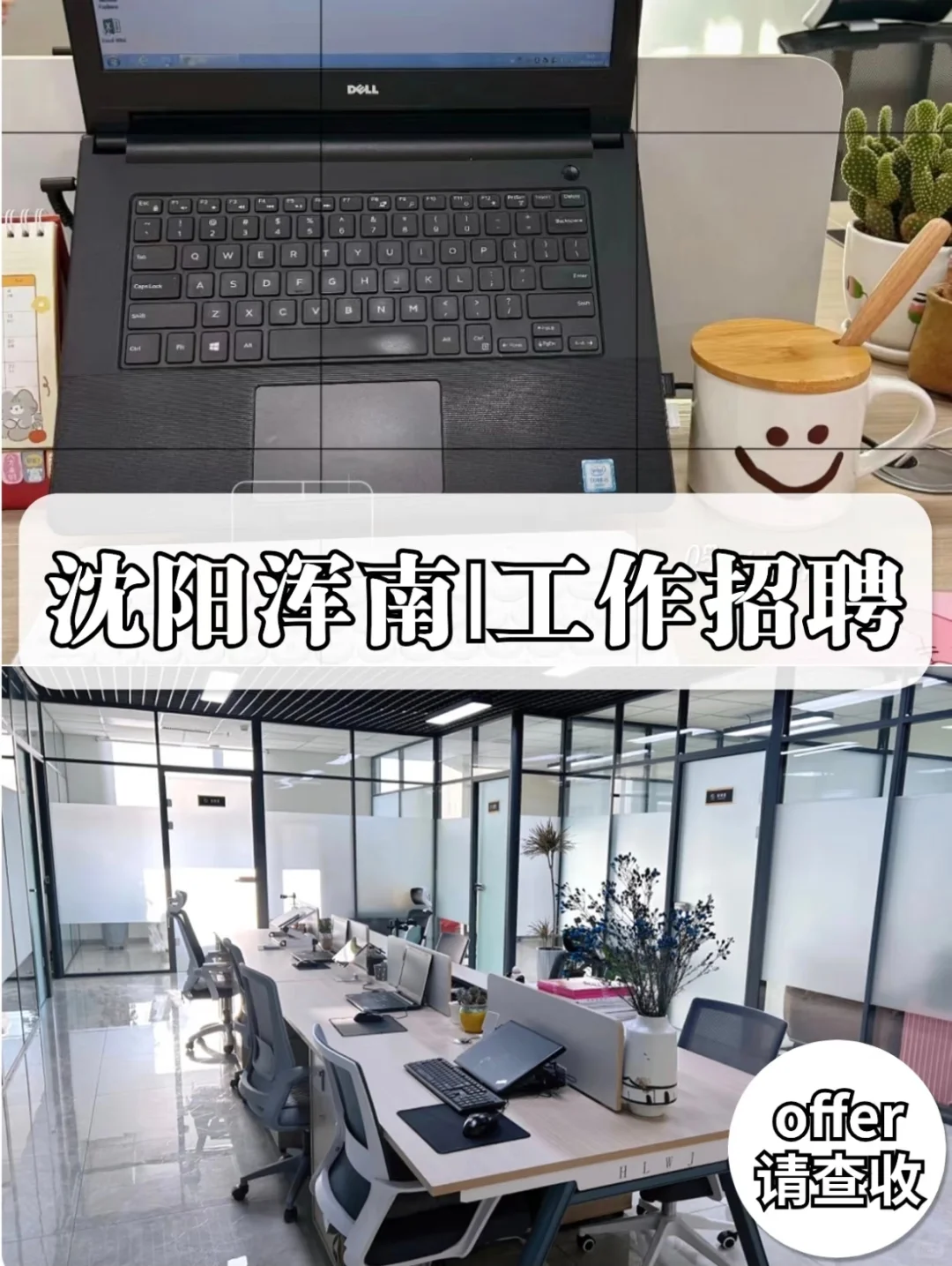 沈阳浑南母婴公司 招人招人