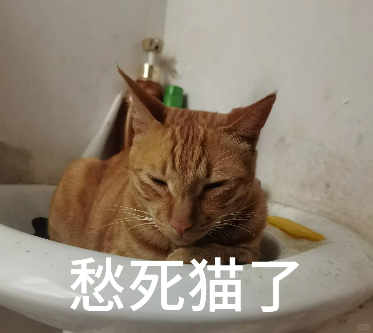 考试日记7.28