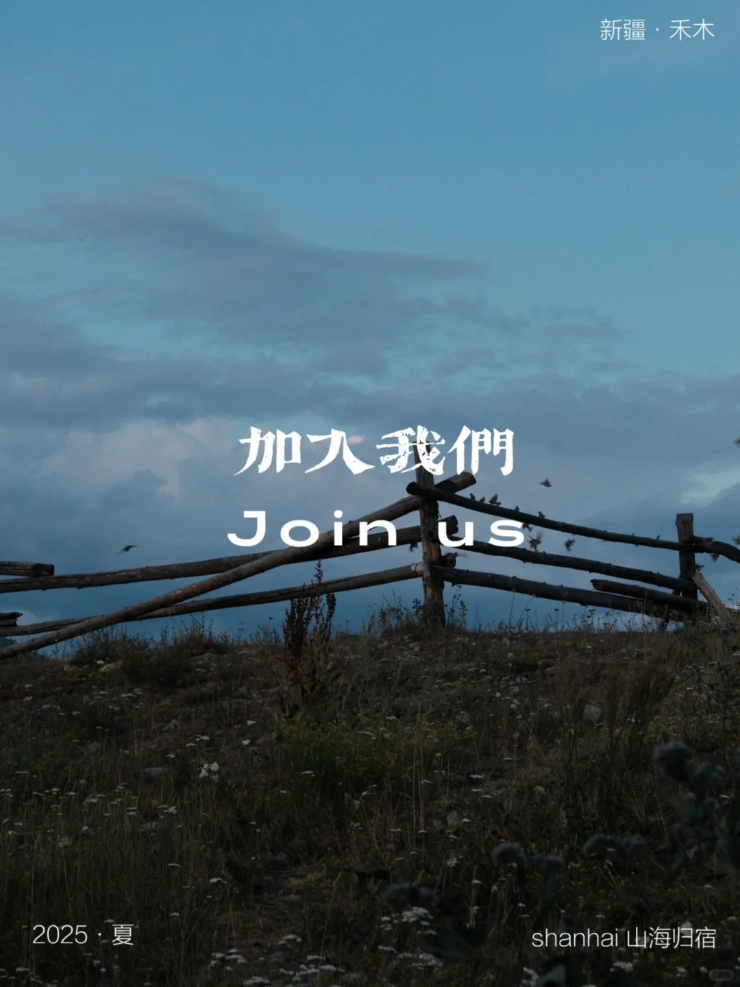 招人啦!!?(暂停接收版??