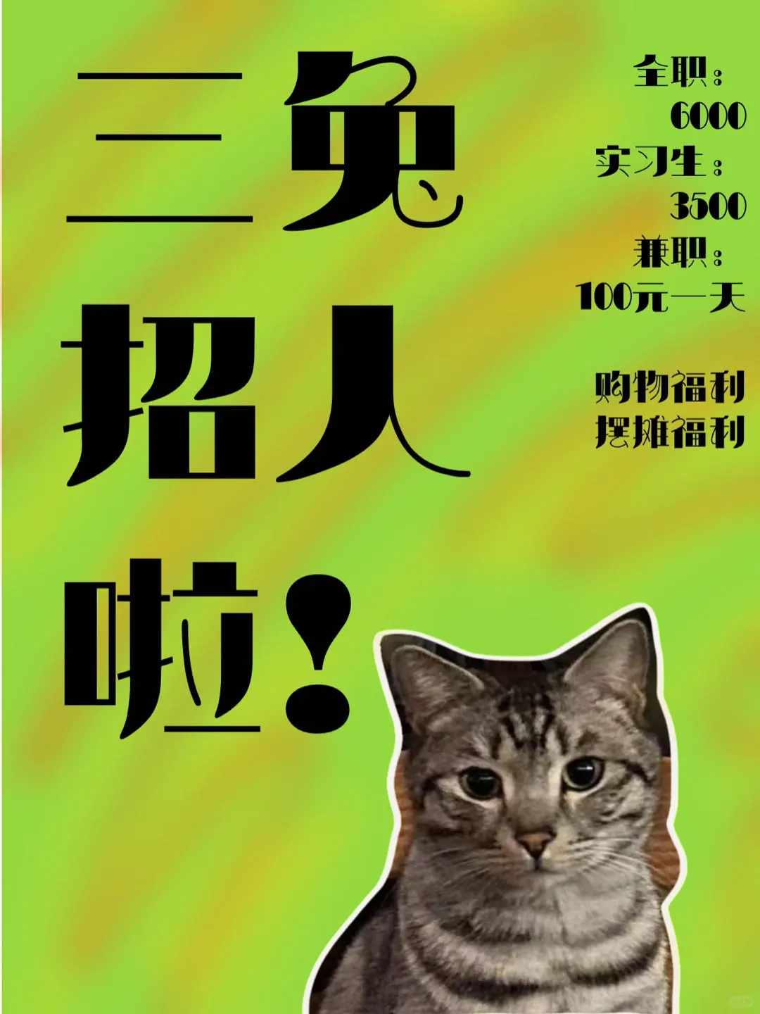 三兔招人啦！