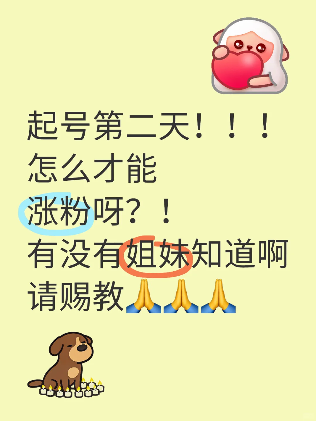 起号第二天想涨粉想来流量!