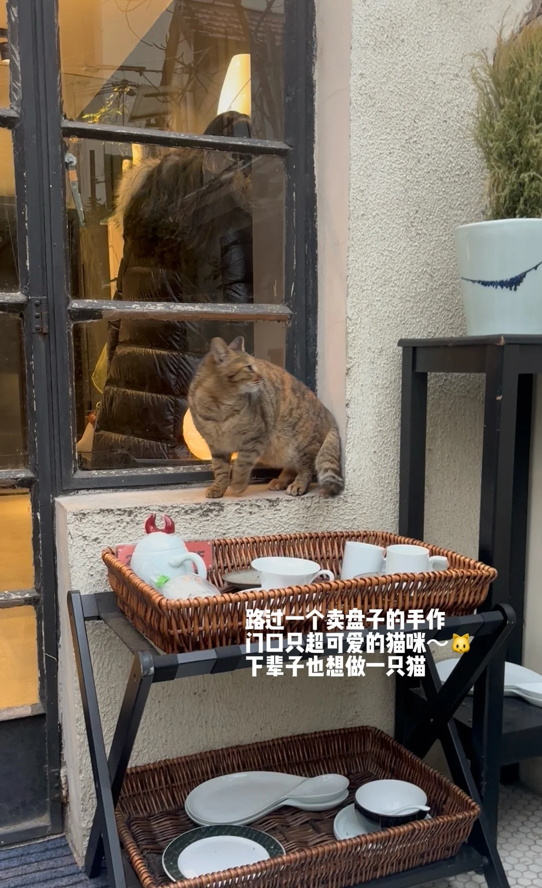 亲测不卡双非的互联网大厂