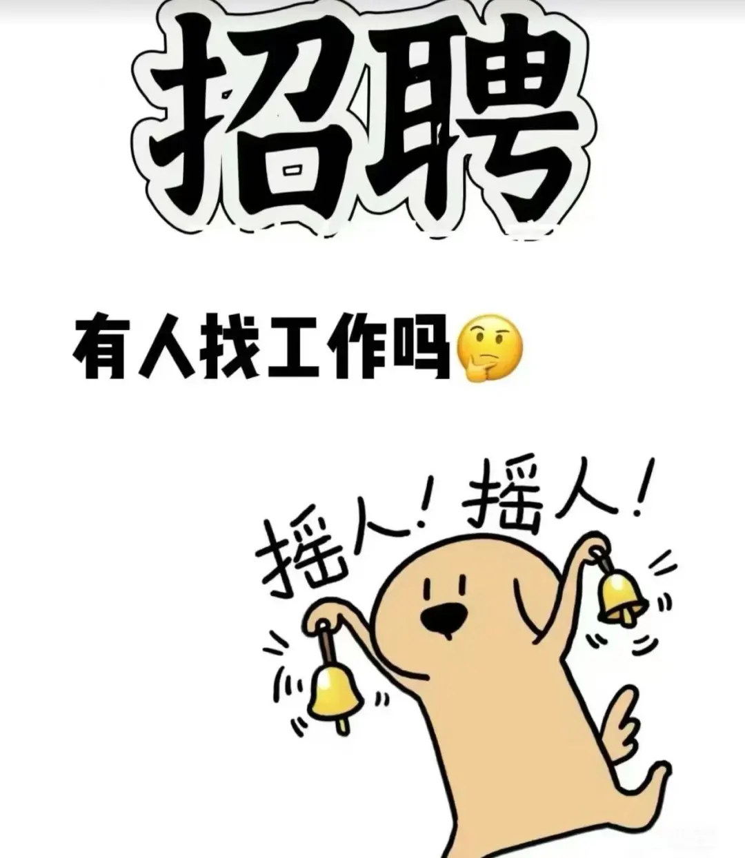 招募招募!