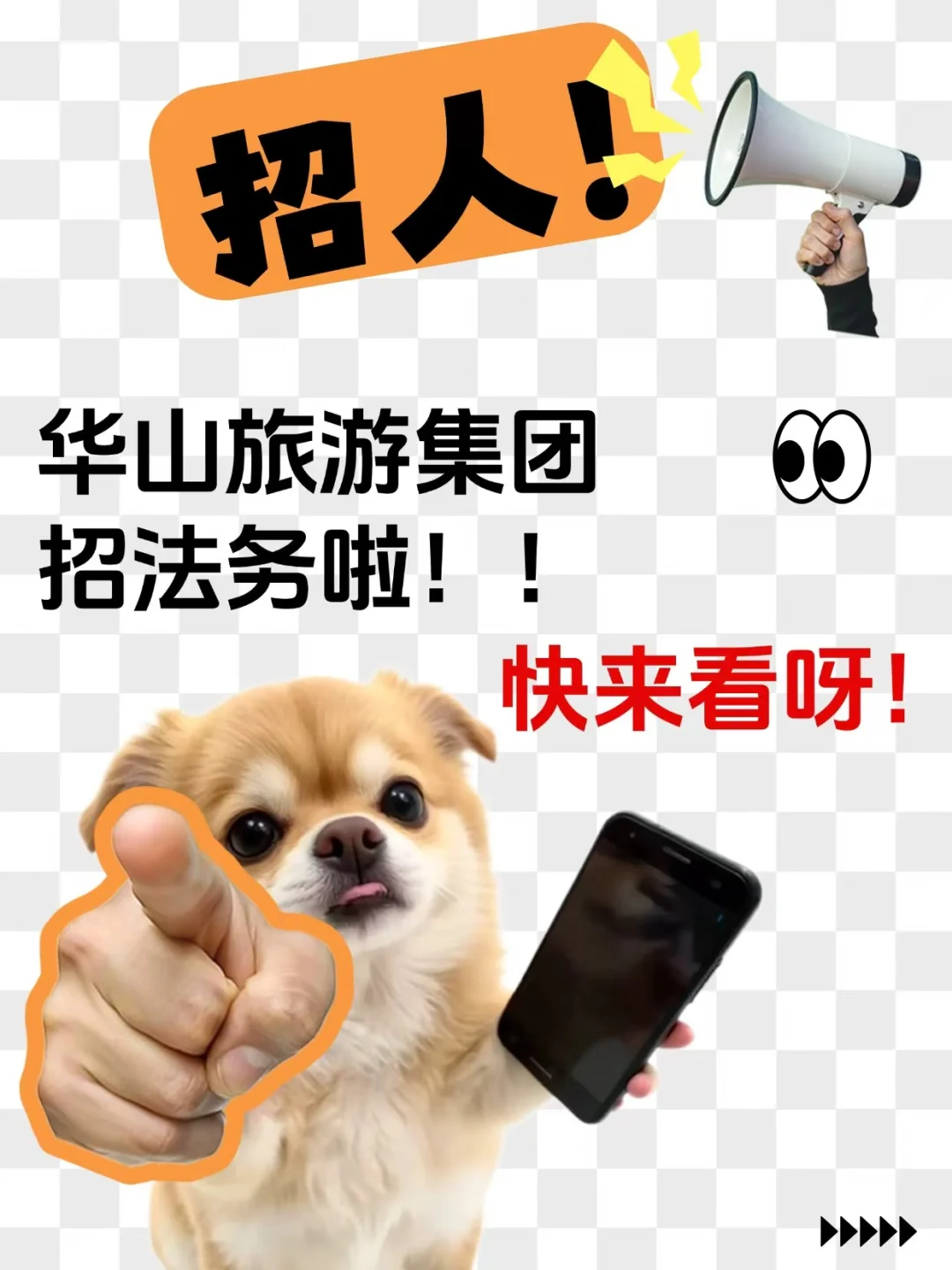 国企法律招聘-陕西华山旅游集团招聘法务4名