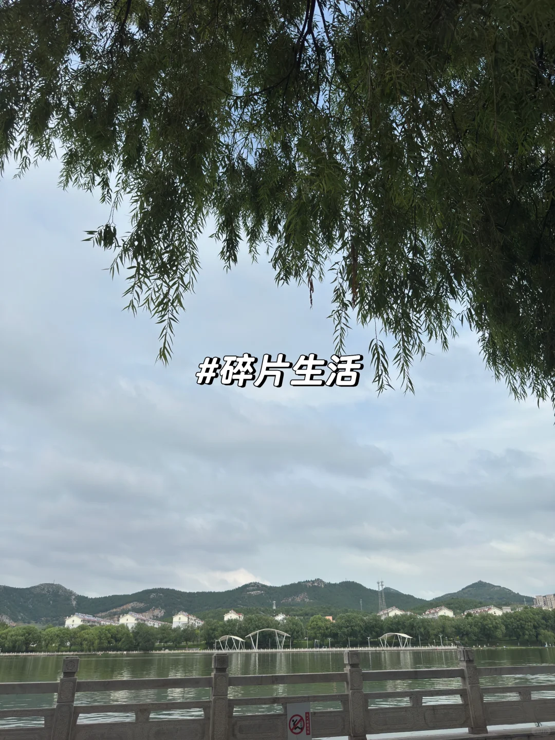 原来大家都是靠这个方法找到的神仙公司?