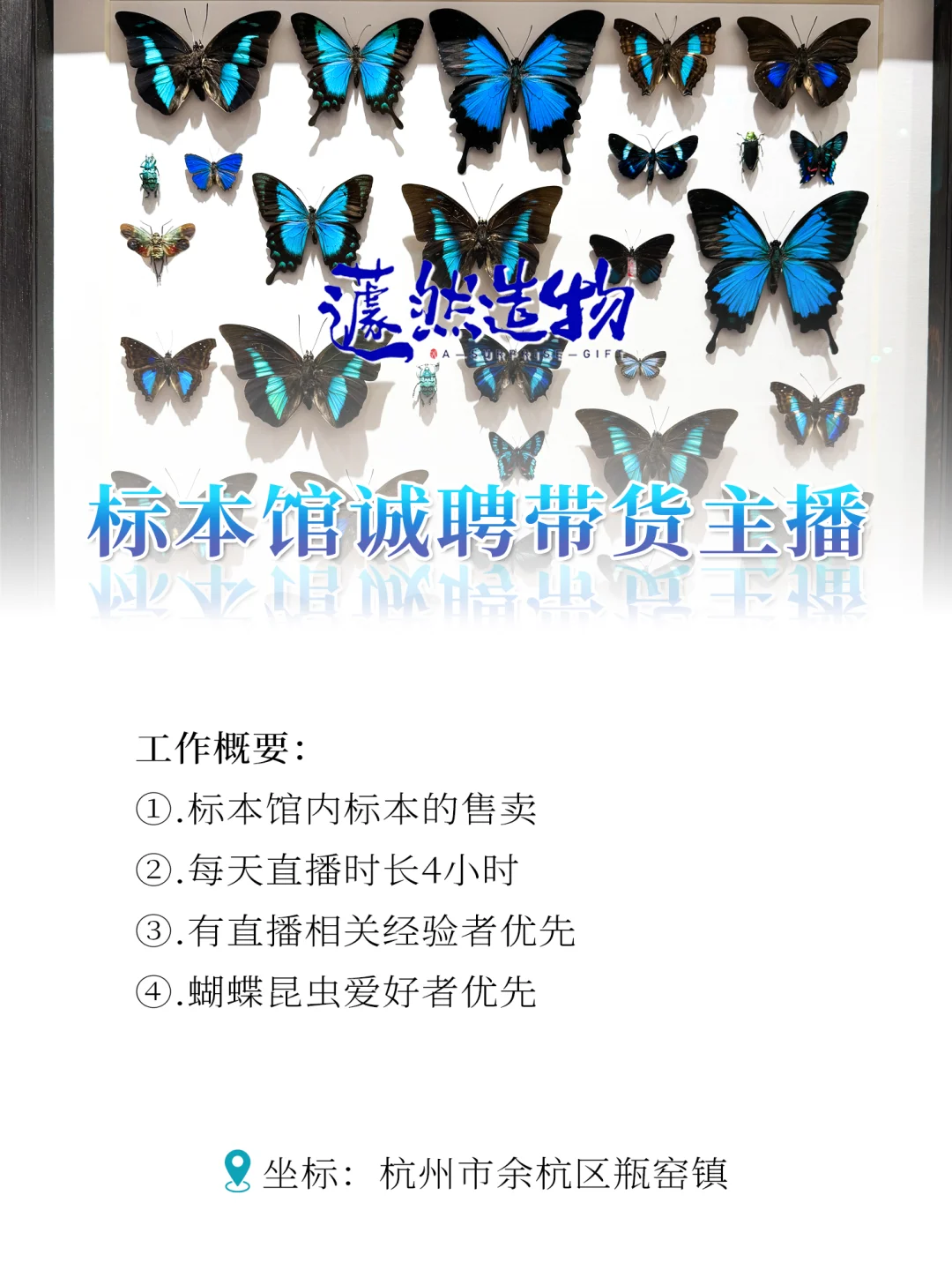 标本馆诚聘带货主播！有经验者优先‼️