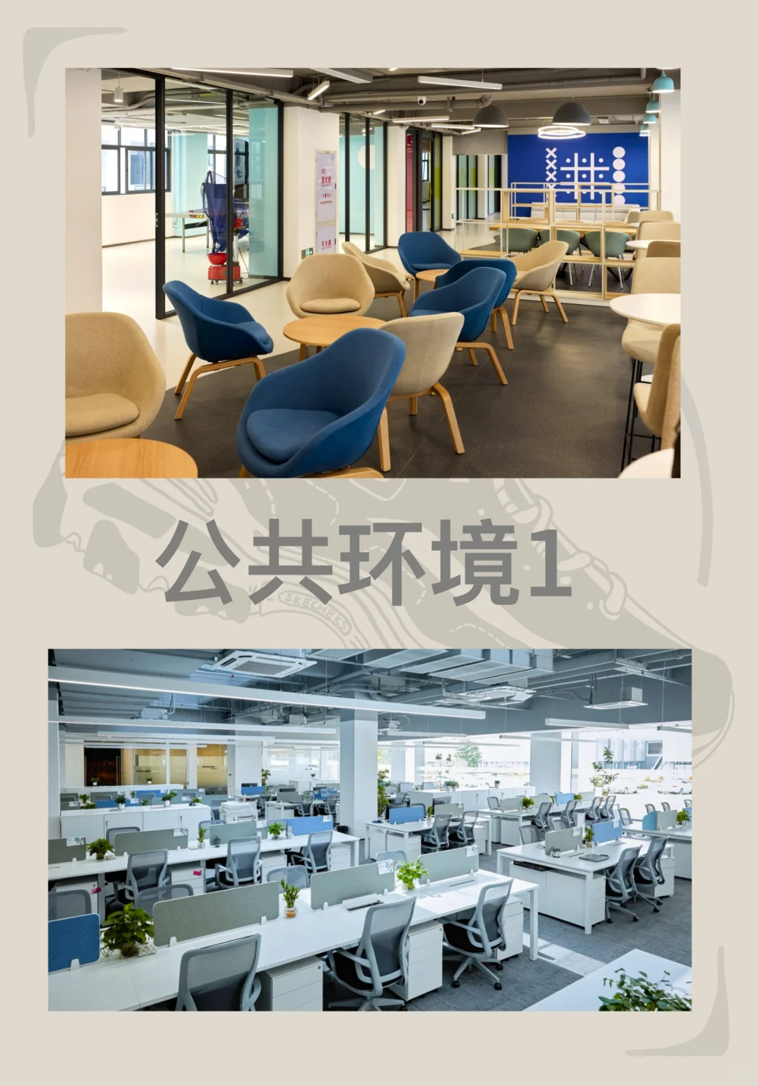 【斯凯奇招聘令-直播间带货主播】